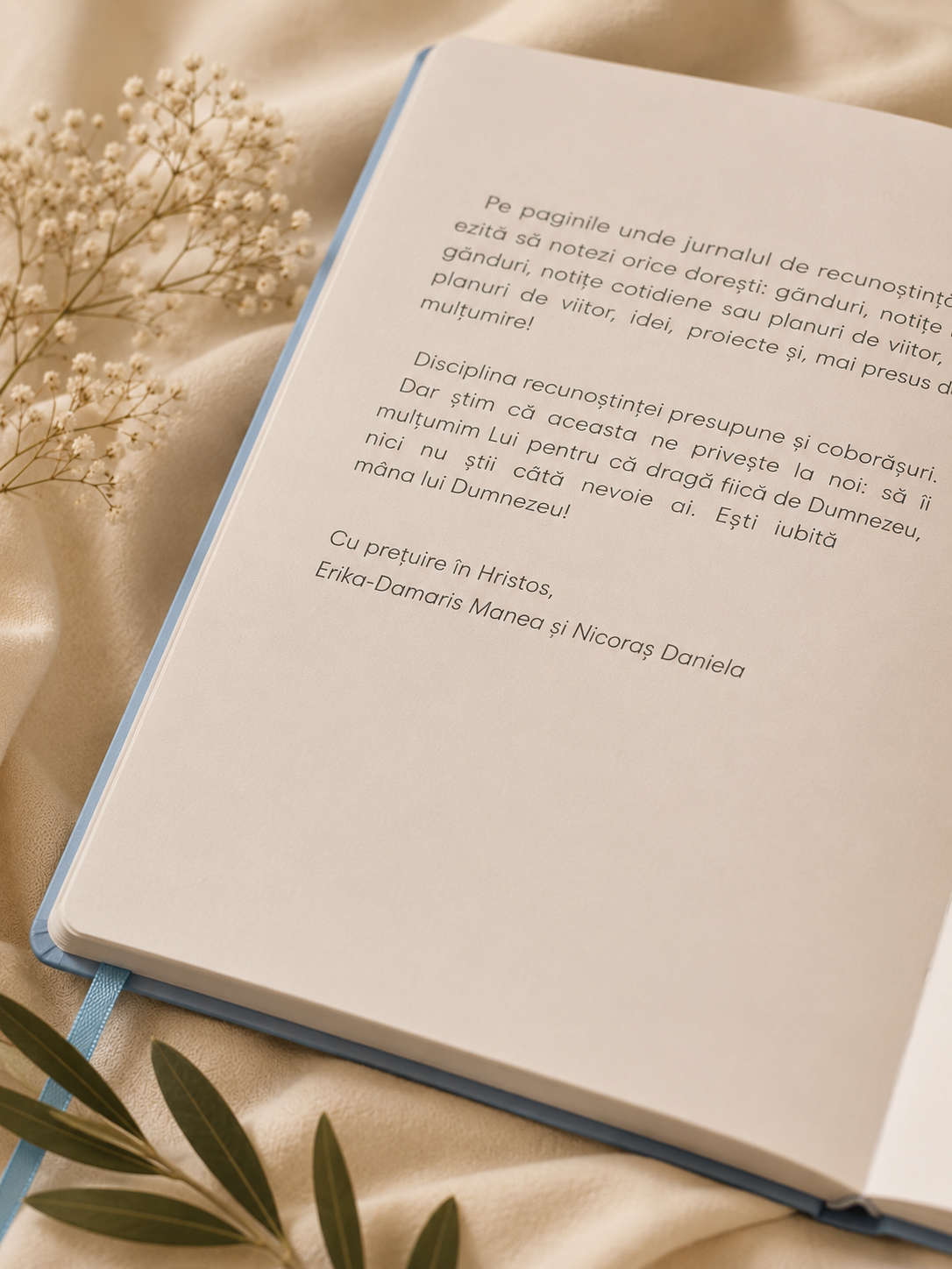 Jurnal de recunoștință