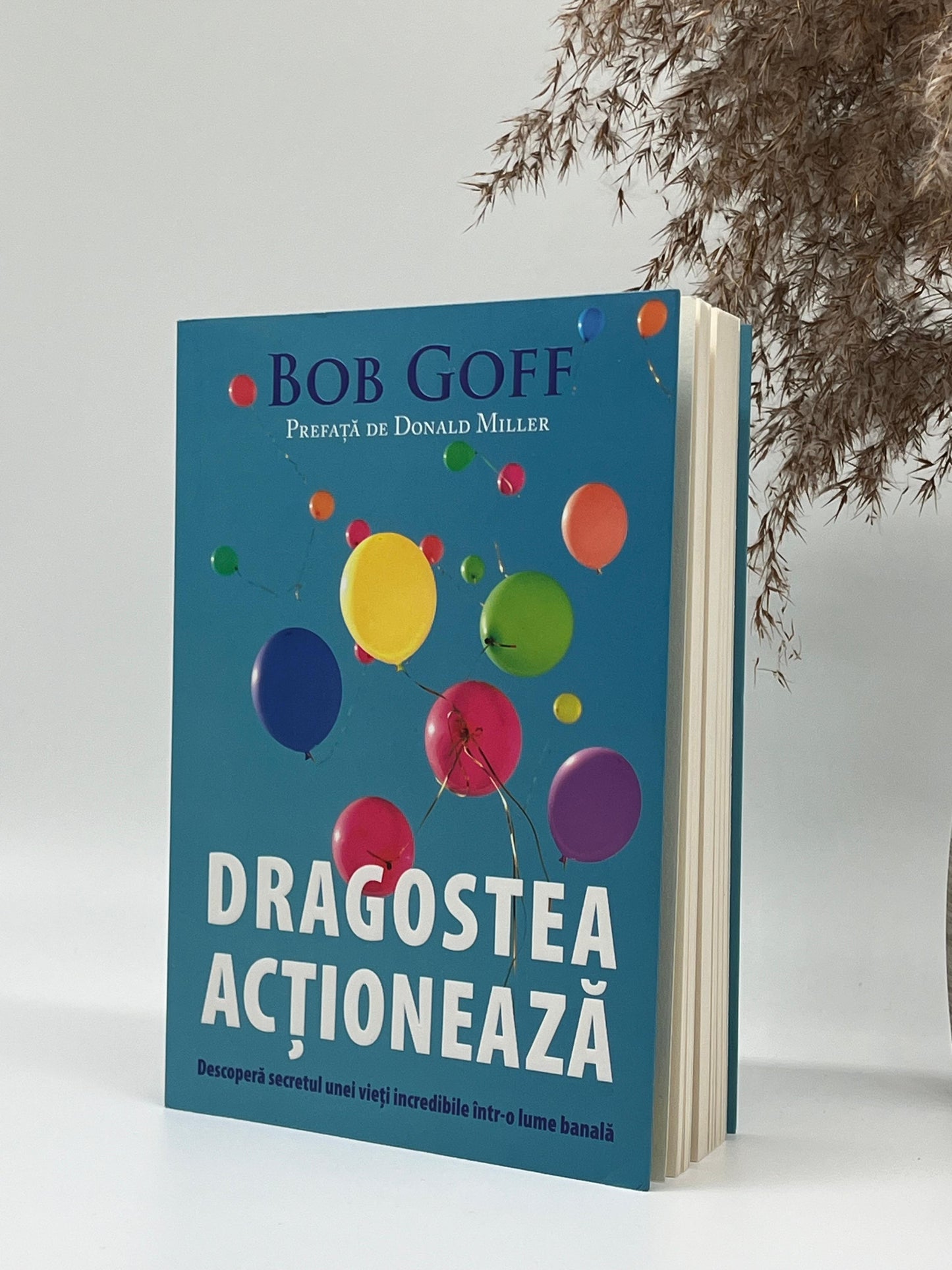 Dragostea actionează -
Bob Goff