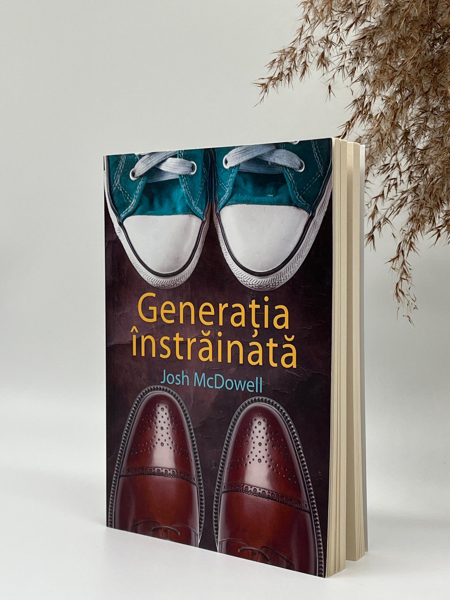 Generația înstrăinată -
Josh McDowell