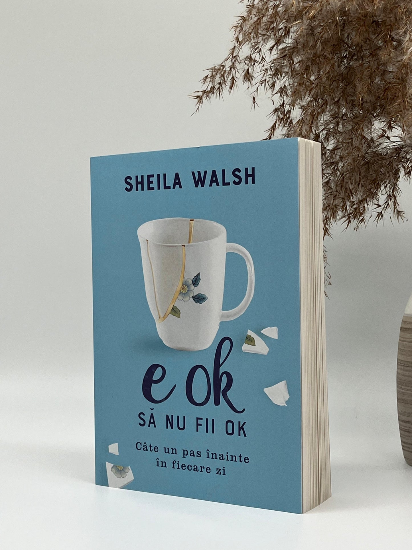 E OK să nu fii OK. Câte un pas înainte în fiecare zi
- Sheila Walsh