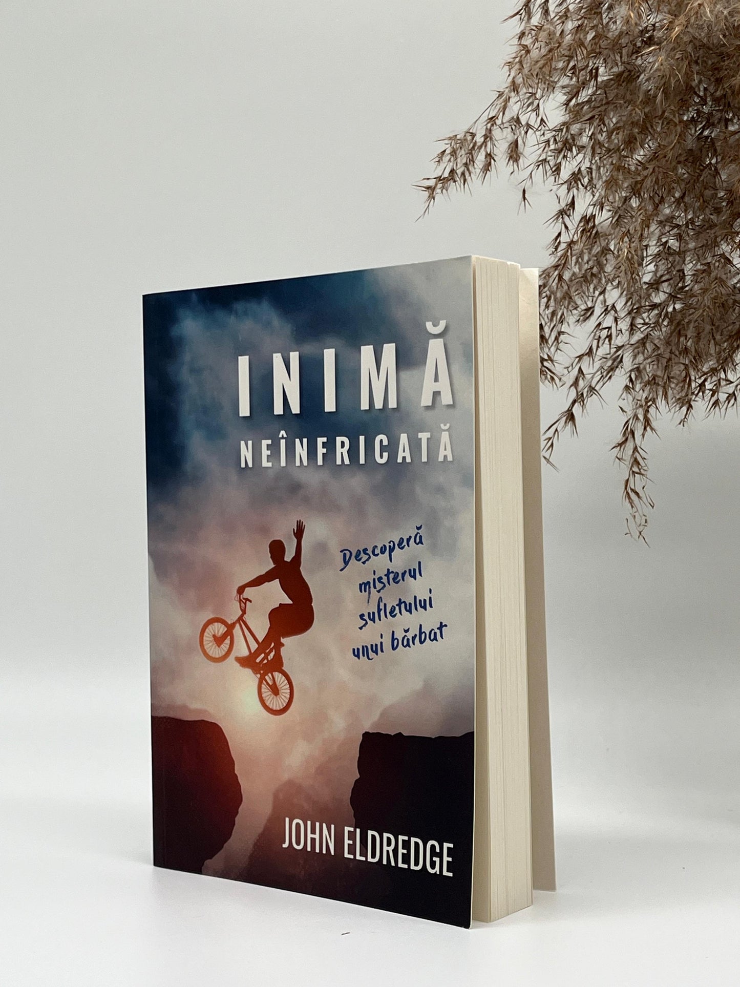 Inimă neînfricată. Descoperă misterul sufletului unui bărbat
John Eldredge