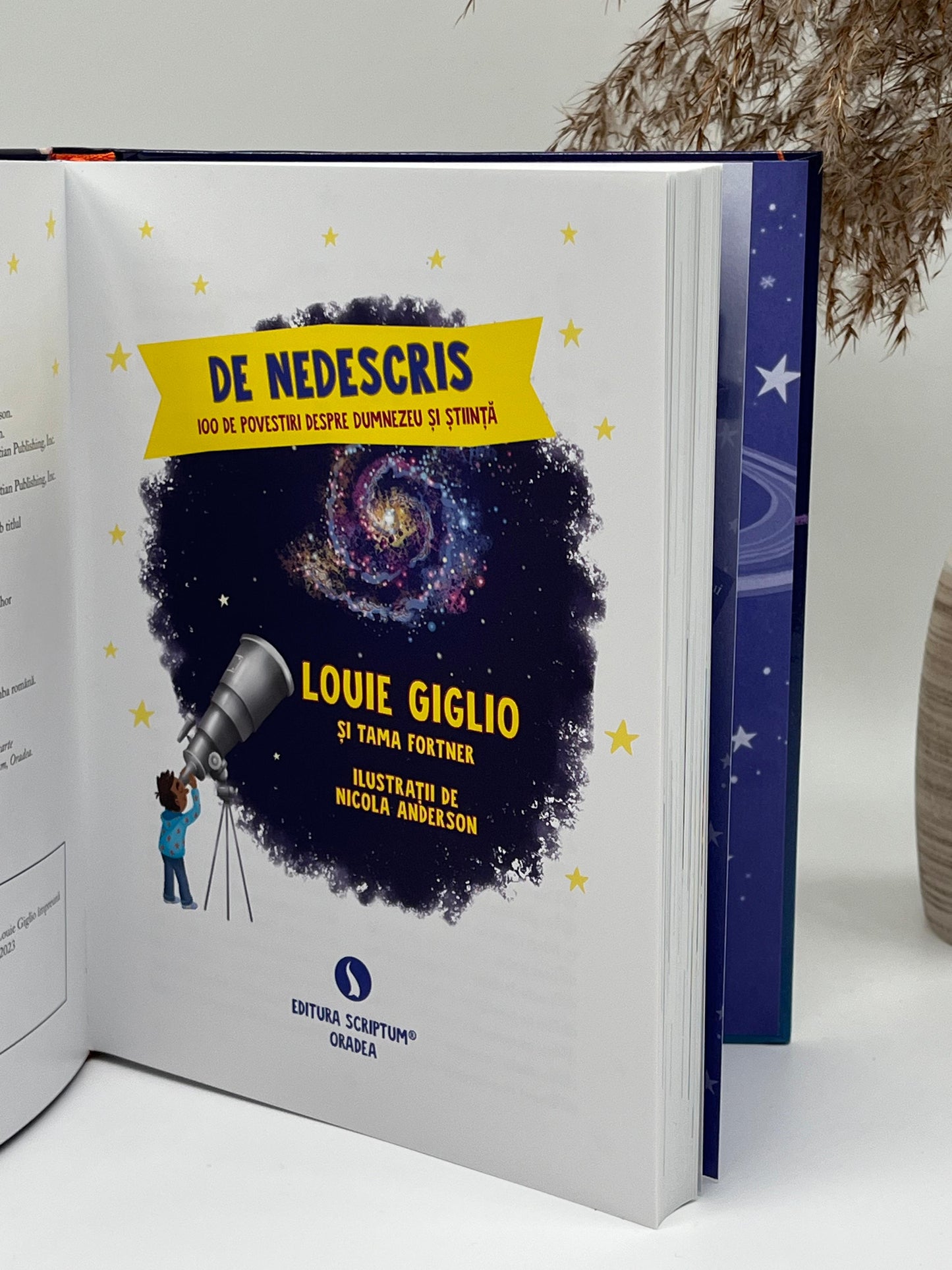 De nedescris -
Louie Giglio