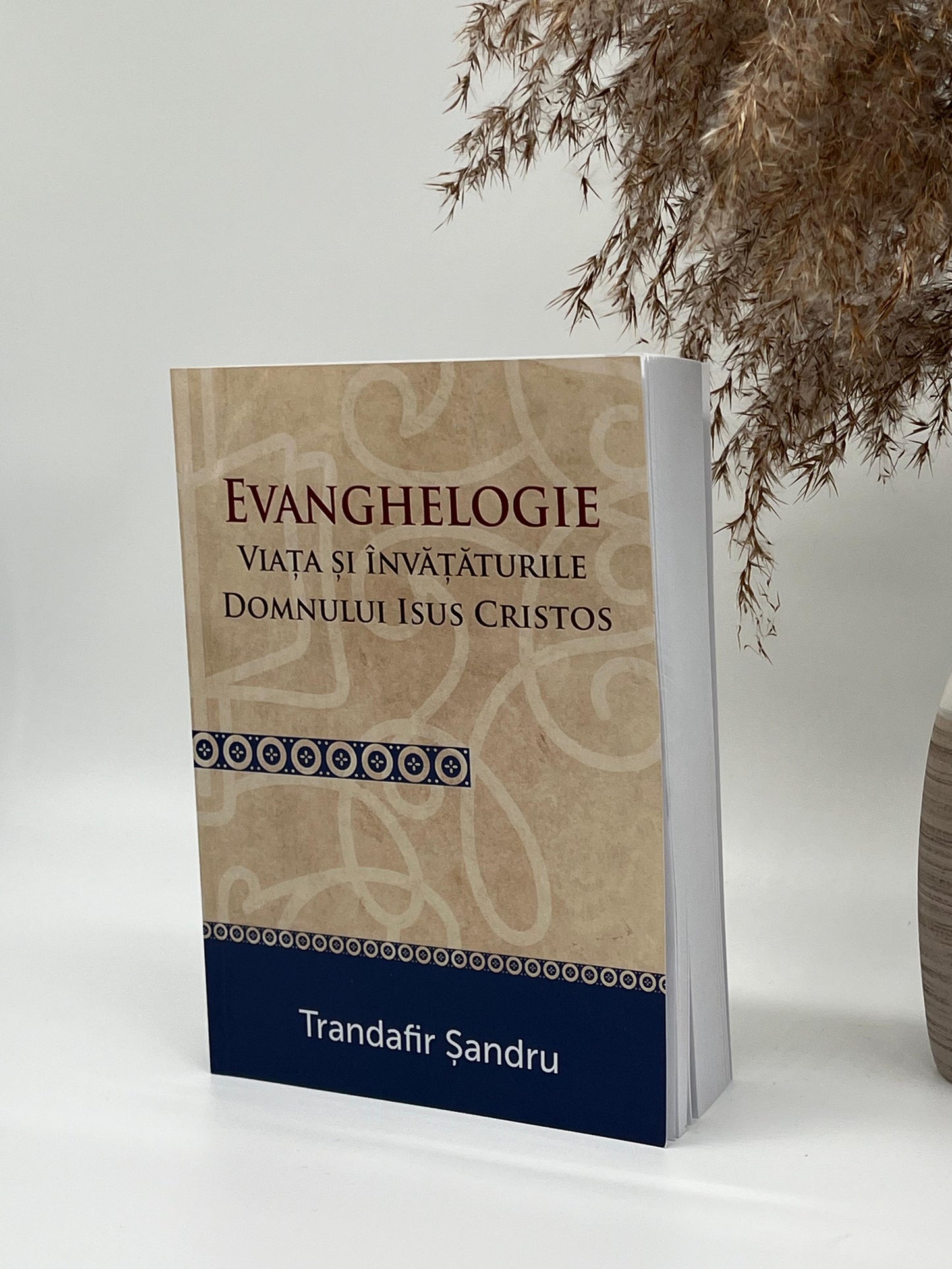 Evanghelogie -
Trandafir Sandru
