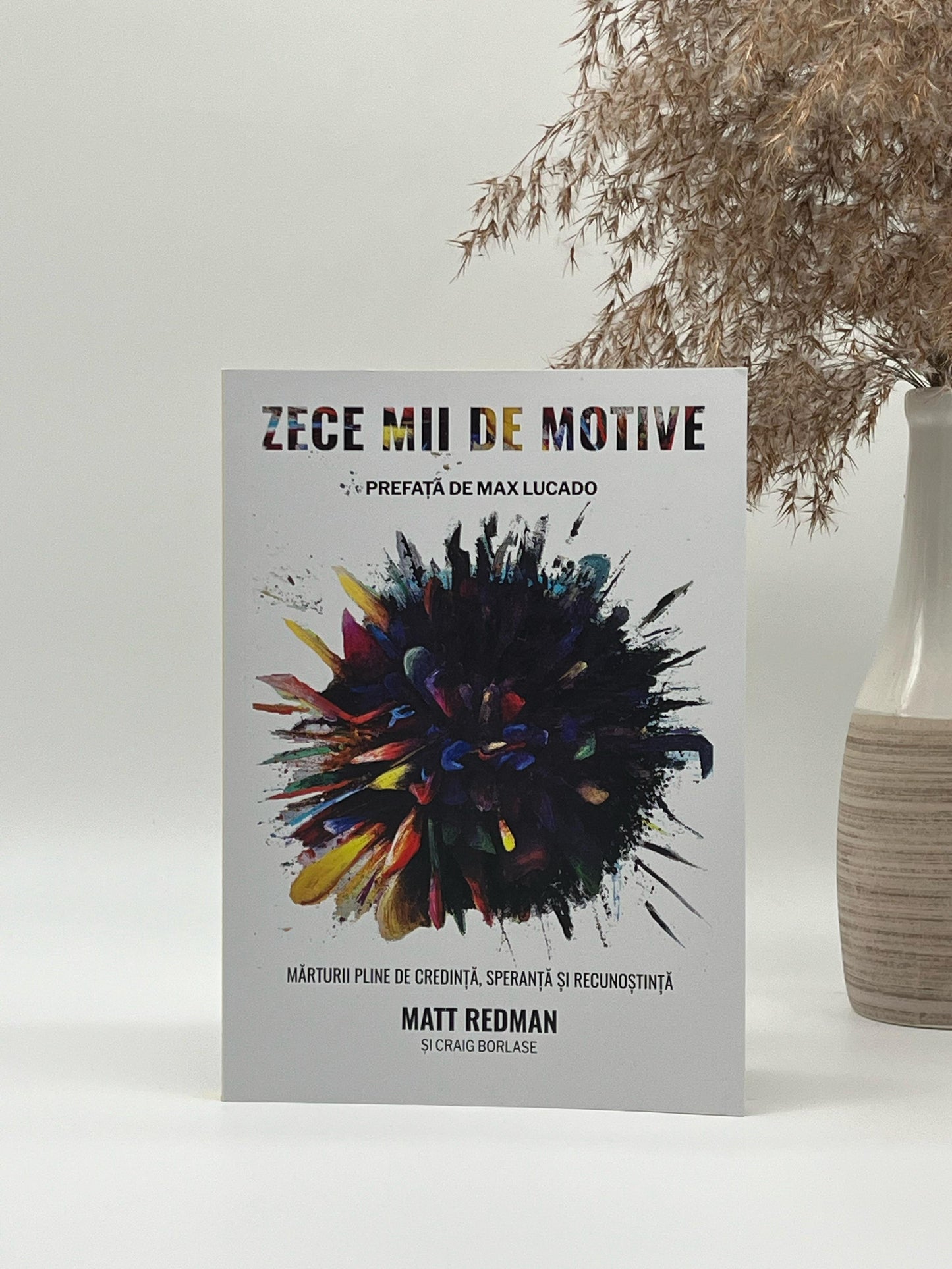 Zece mii de motive -
Matt Redman