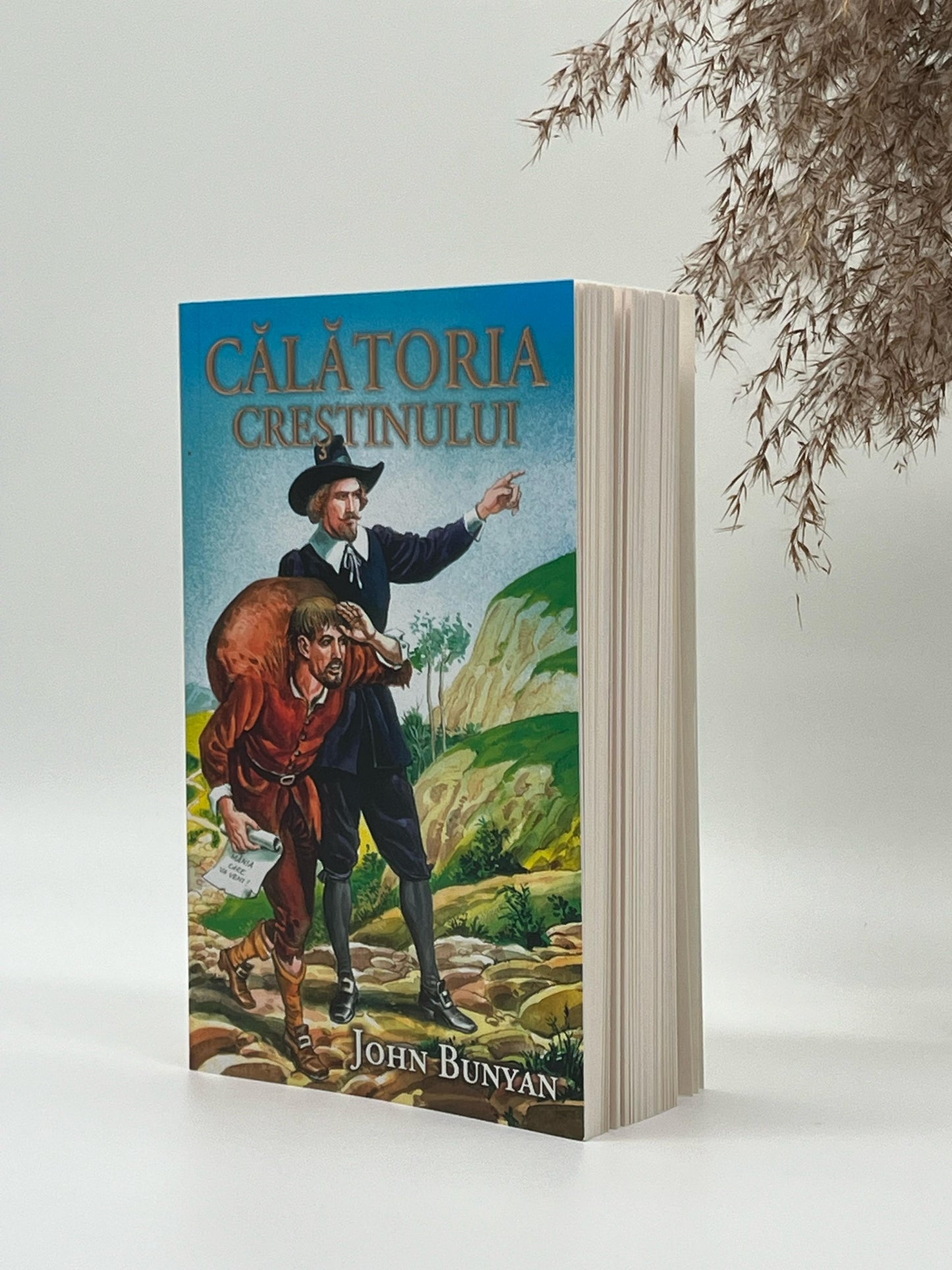 Călătoria creștinului -
John Bunyan