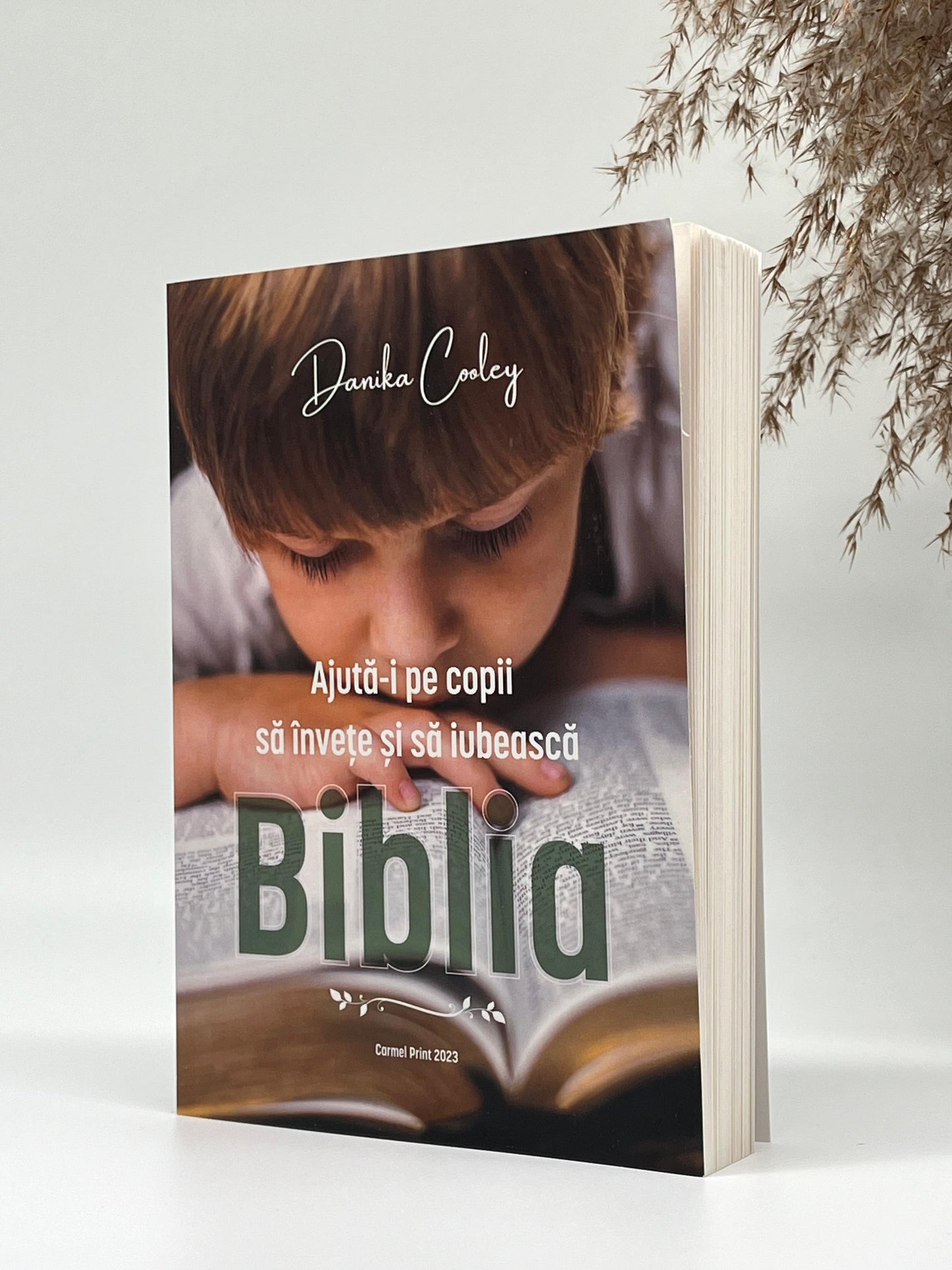 Ajută-i pe copii să învețe și să iubească Biblia
- Danika Cooley