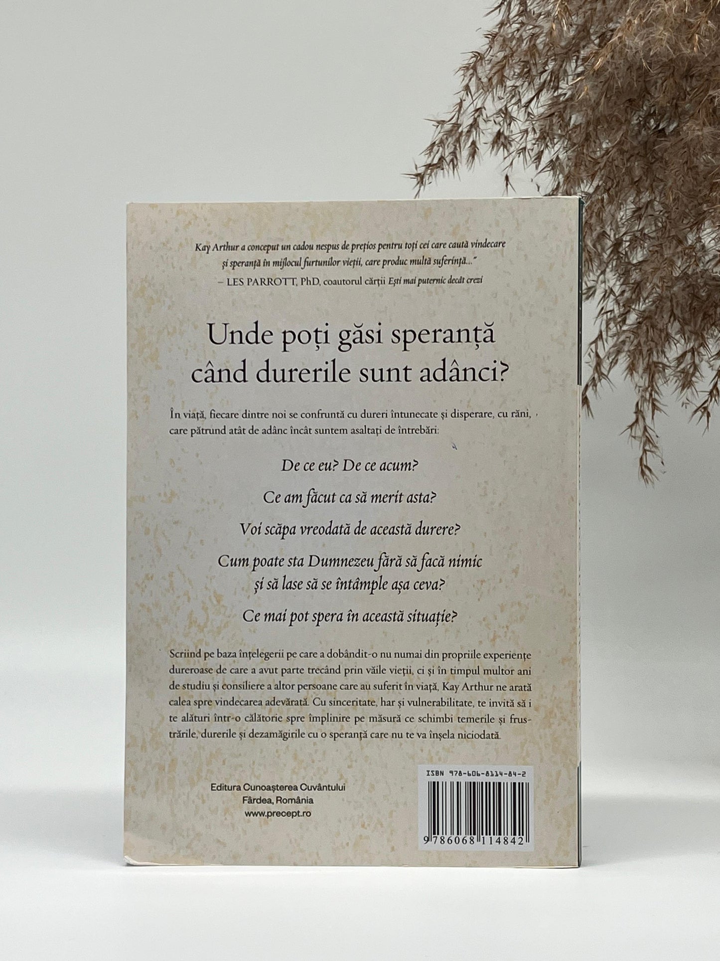 Când durerile sunt adânci -
Kay Arthur