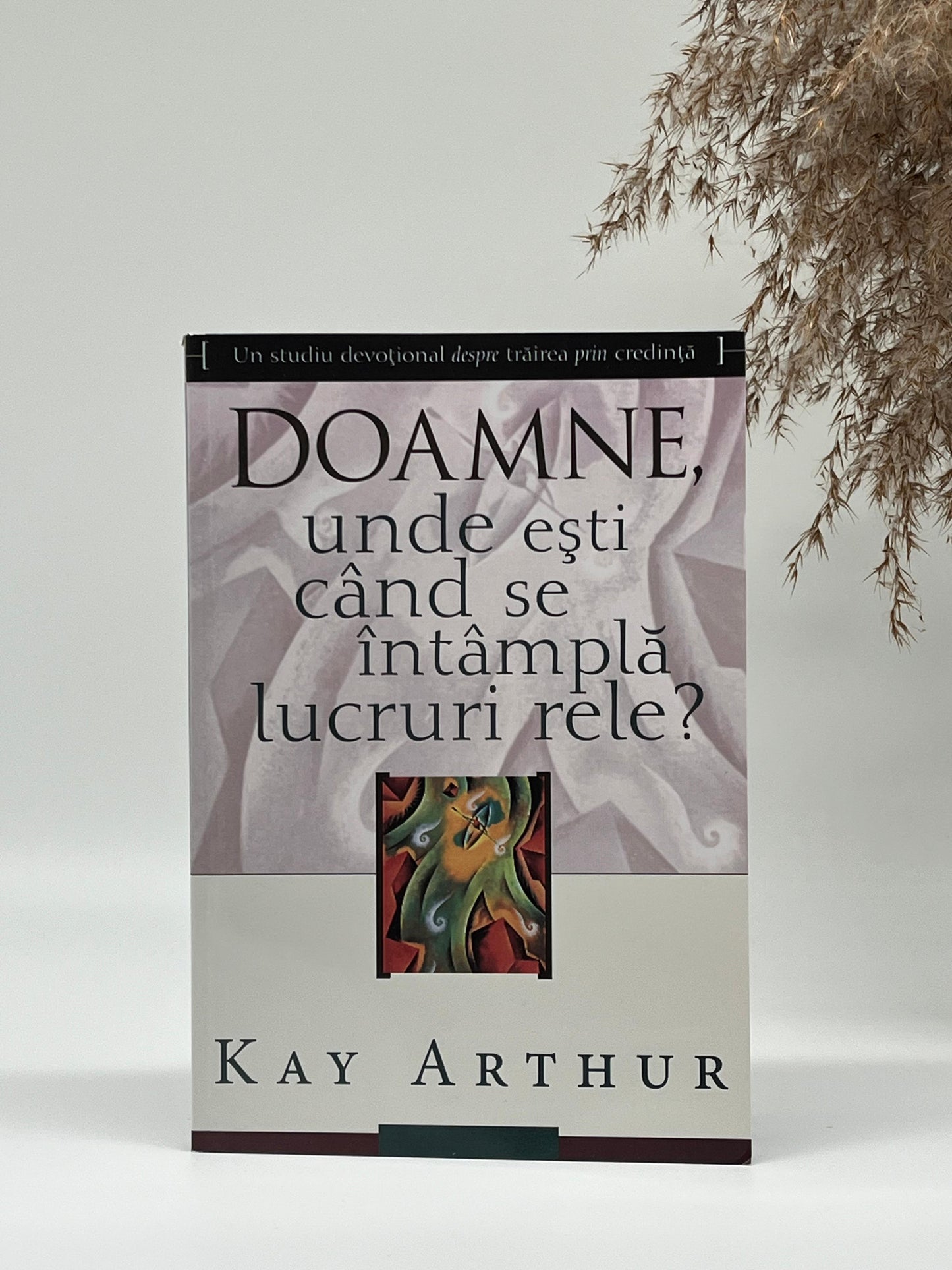 Doamne, unde eşti când se întâmplă lucruri rele?
- Kay Arthur