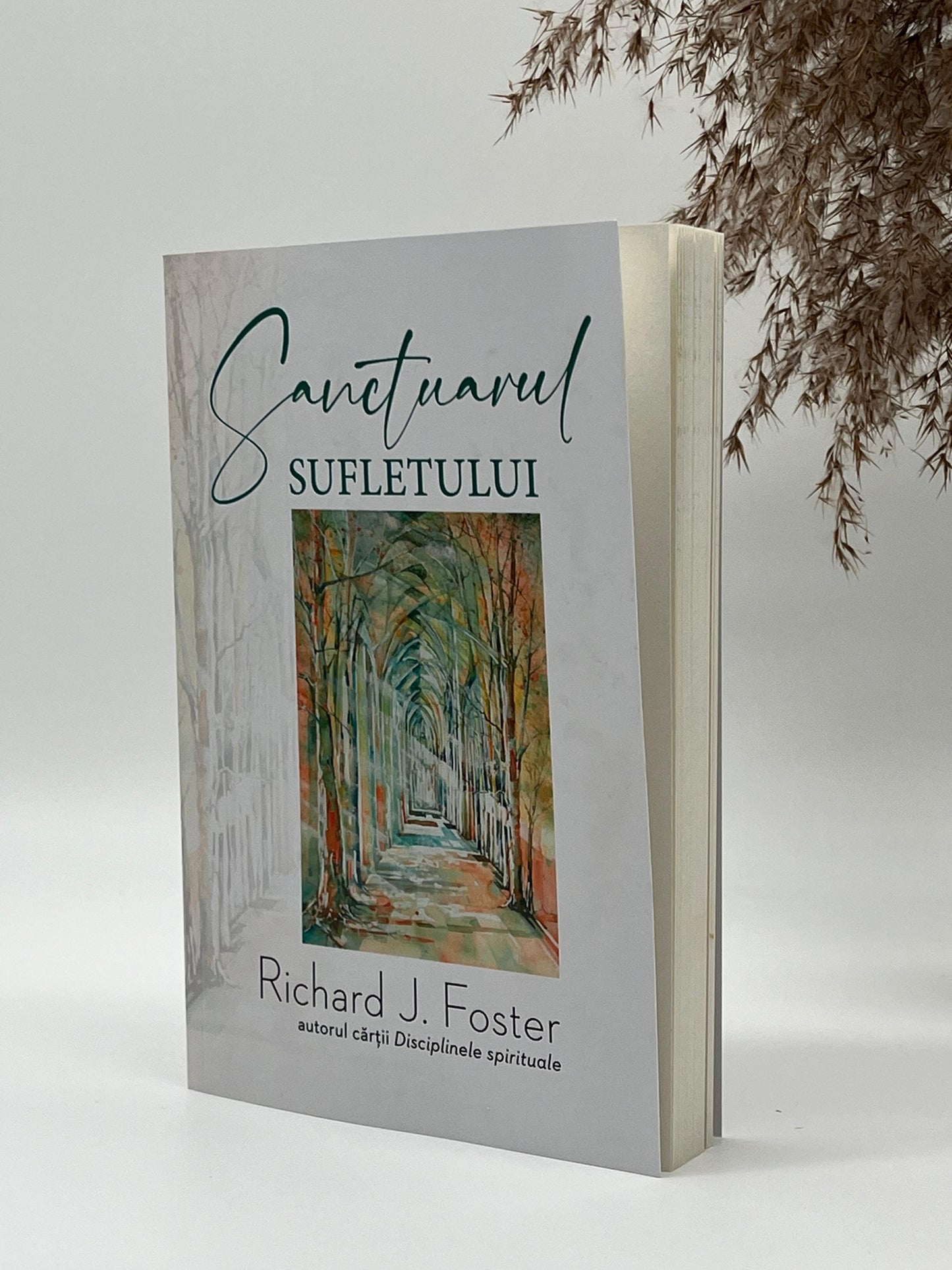 Sanctuarul sufletului -
Richard Foster