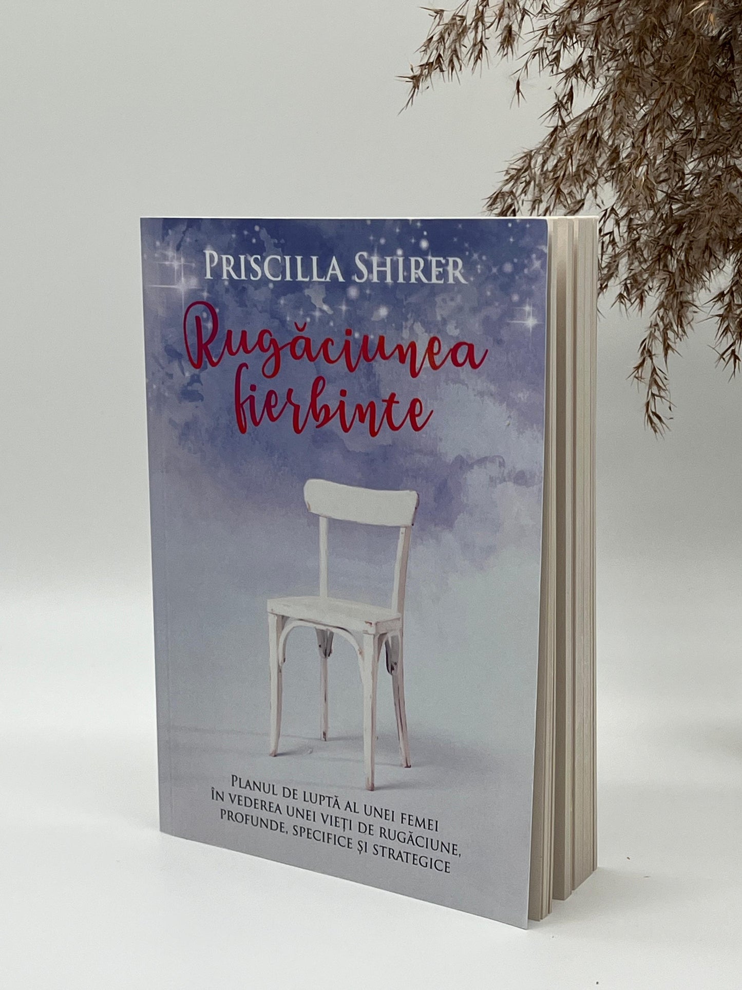 Rugăciunea fierbinte -
Priscilla Shirer