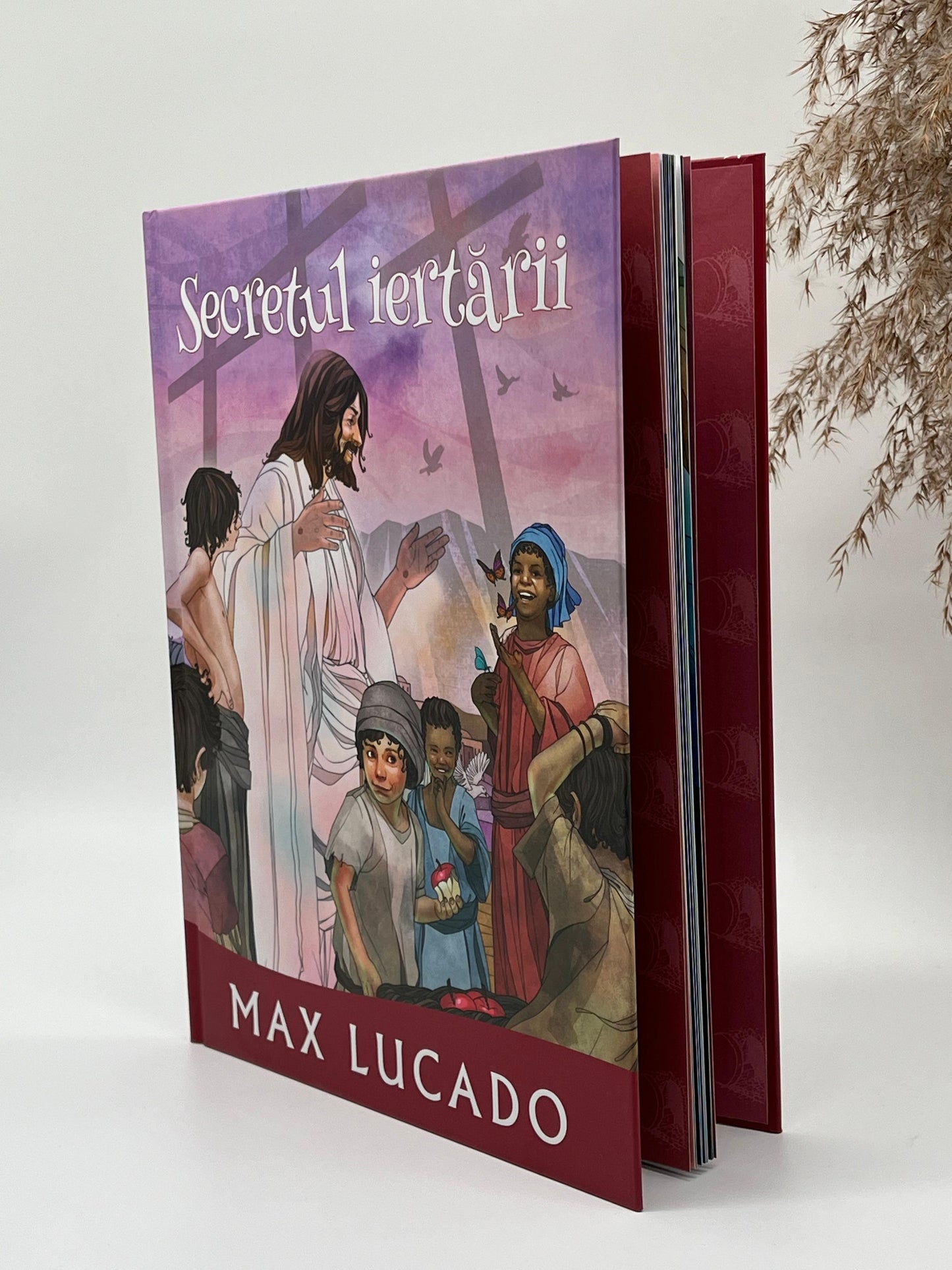 Secretul iertării (Seria Promisiuni împlinite) -
Max Lucado