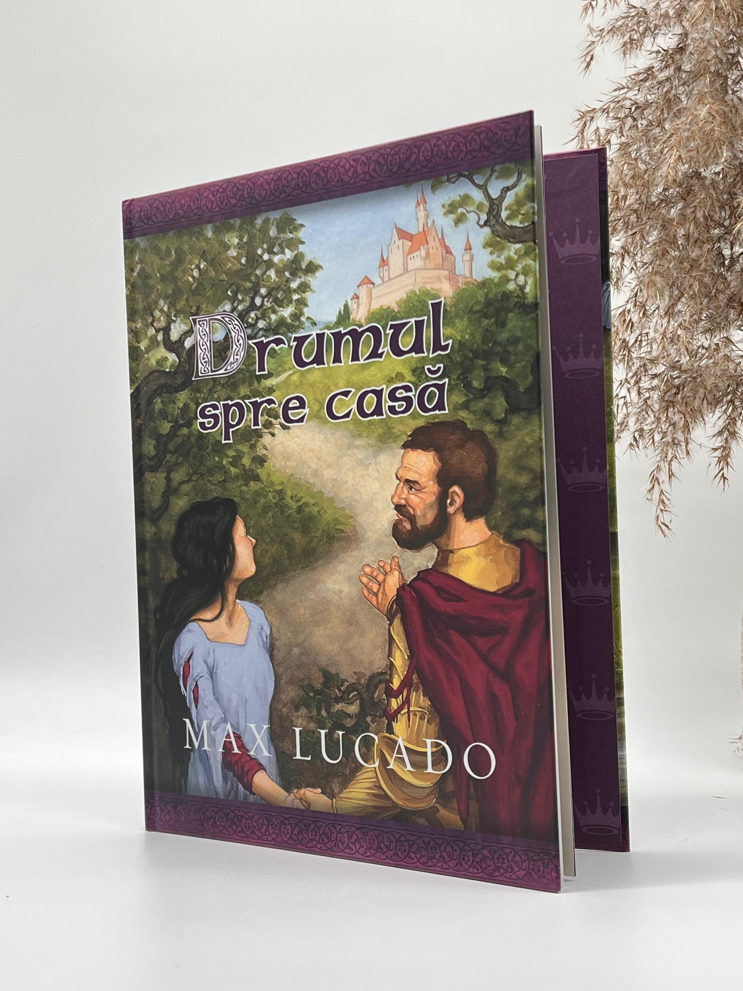 Drumul spre casă (Seria Comoara Copilariei)
Max Lucado