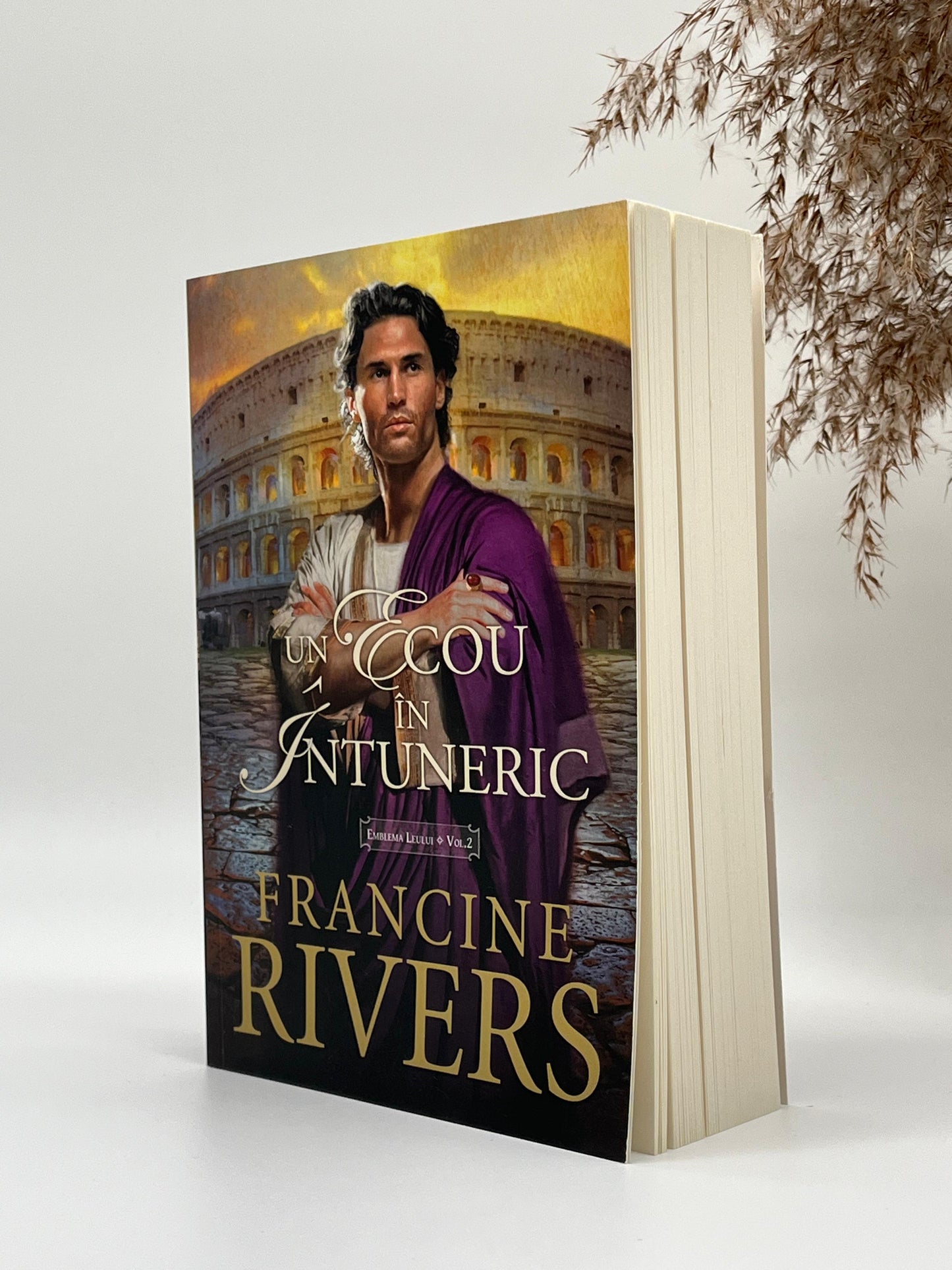 Un ecou în întuneric - Trilogia Emblema leului Vol 2 -
Francine Rivers