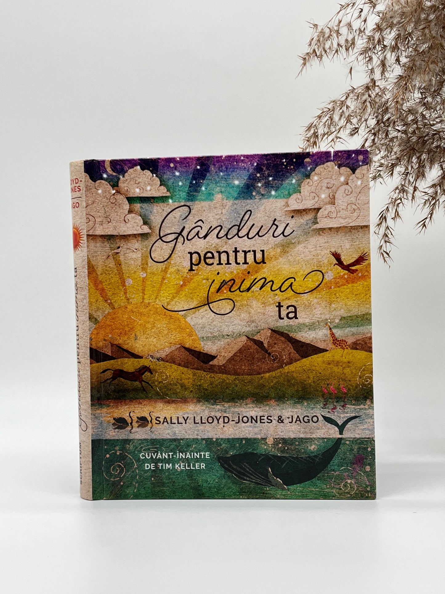 Gânduri pentru inima ta -
Sally Lloyd-Jones