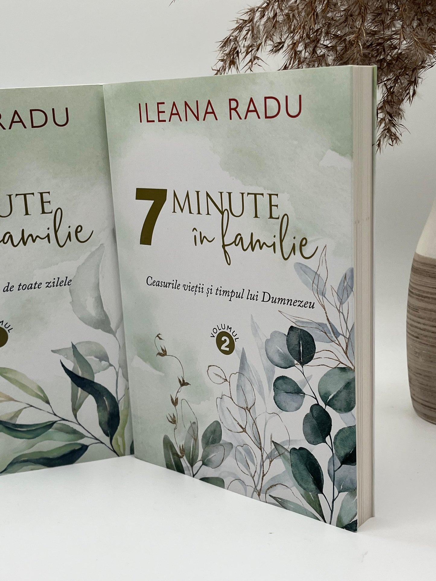 7 minute in familie (pachet 1+2) -
Ileana Radu