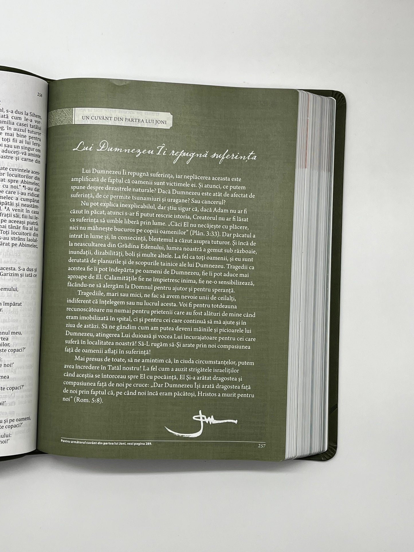 Biblia Speranță în suferință - Verde