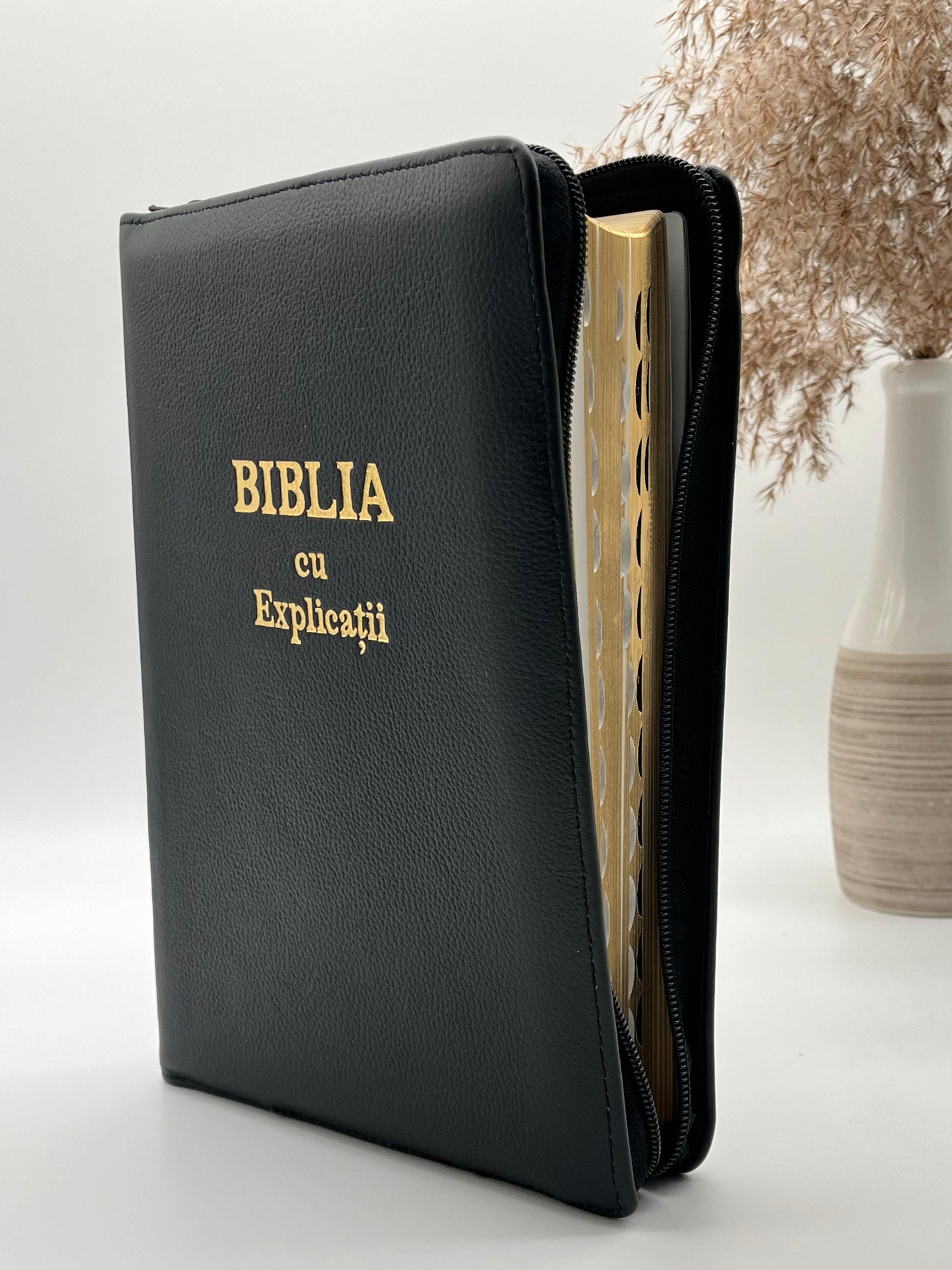 Biblia 077 ZTI - Concordanță și Explicații