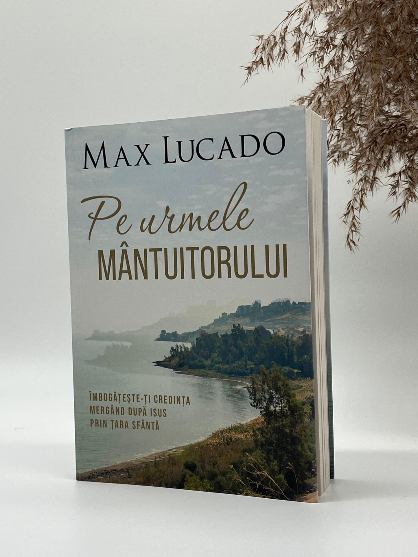 Pe urmele Mântuitorului -
Max Lucado