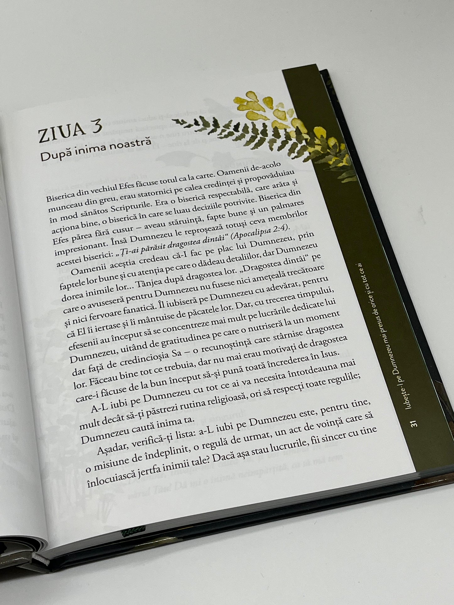 Fundamente -
Ruth Chou Simons & Troy Simons