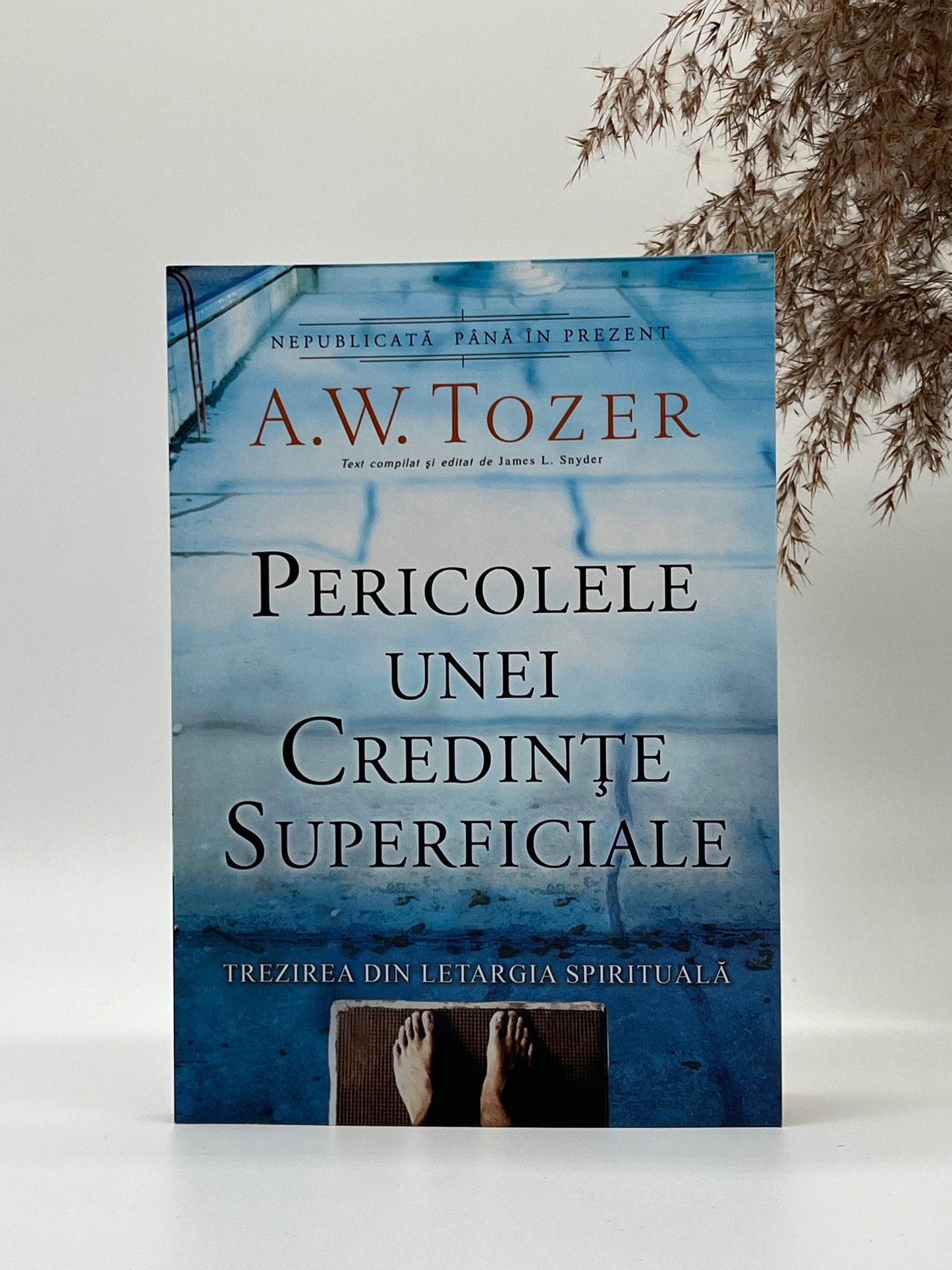 Pericolele unei credințe superficiale -
A.W. Tozer