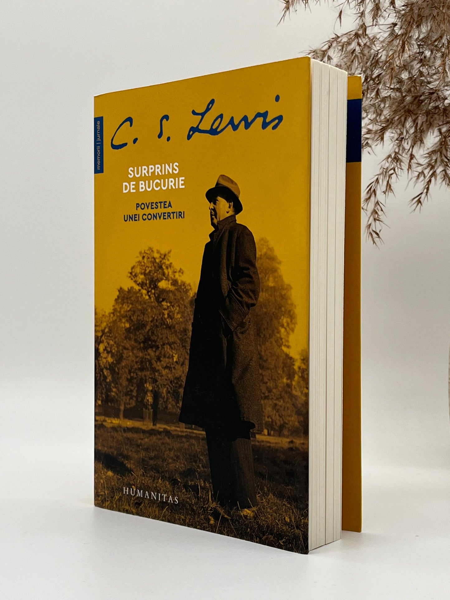 Surprins de bucurie. Povestea unei convertiri -
C. S. Lewis