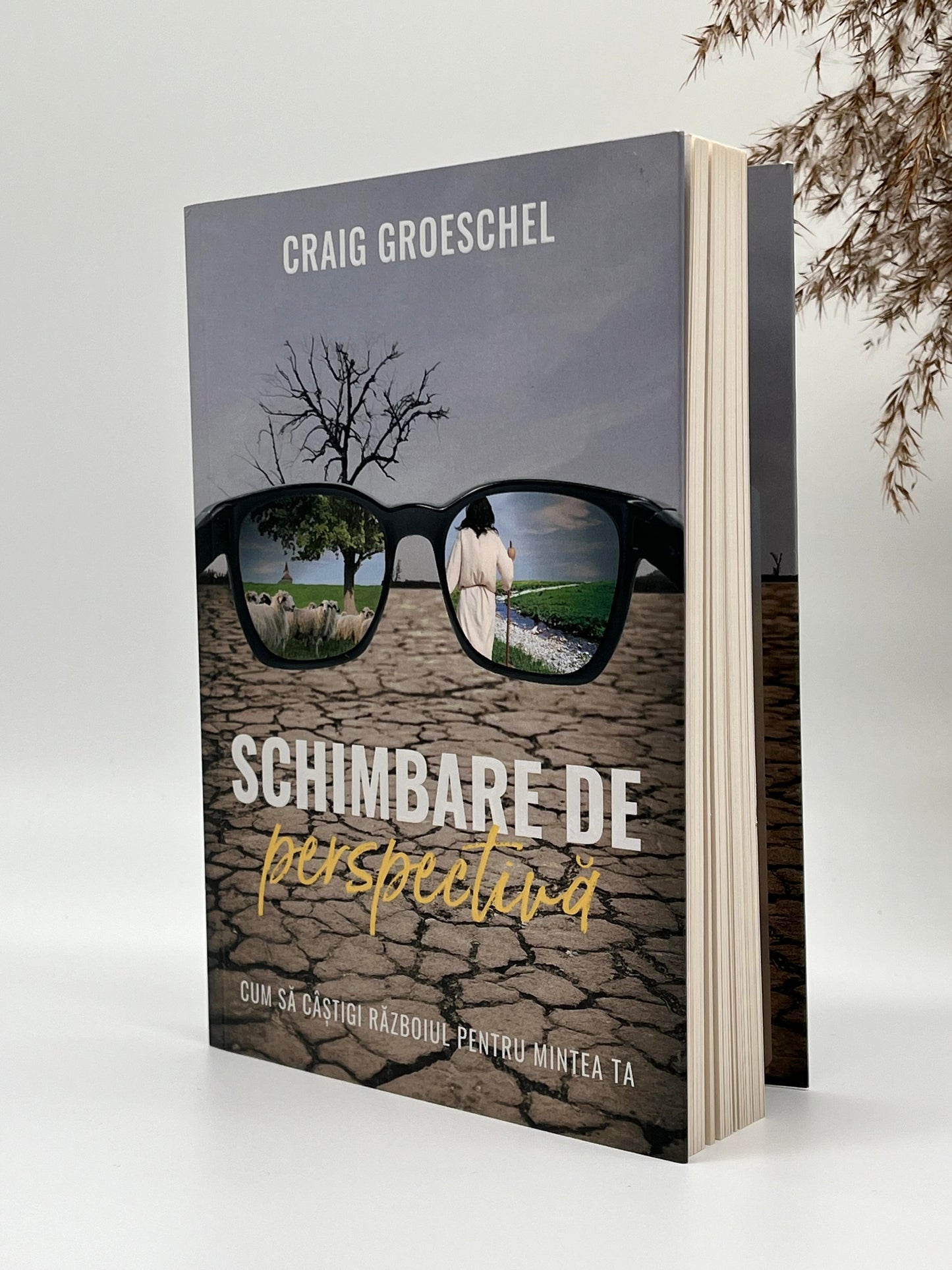 Schimbare de perspectivă -
Craig Groeschel