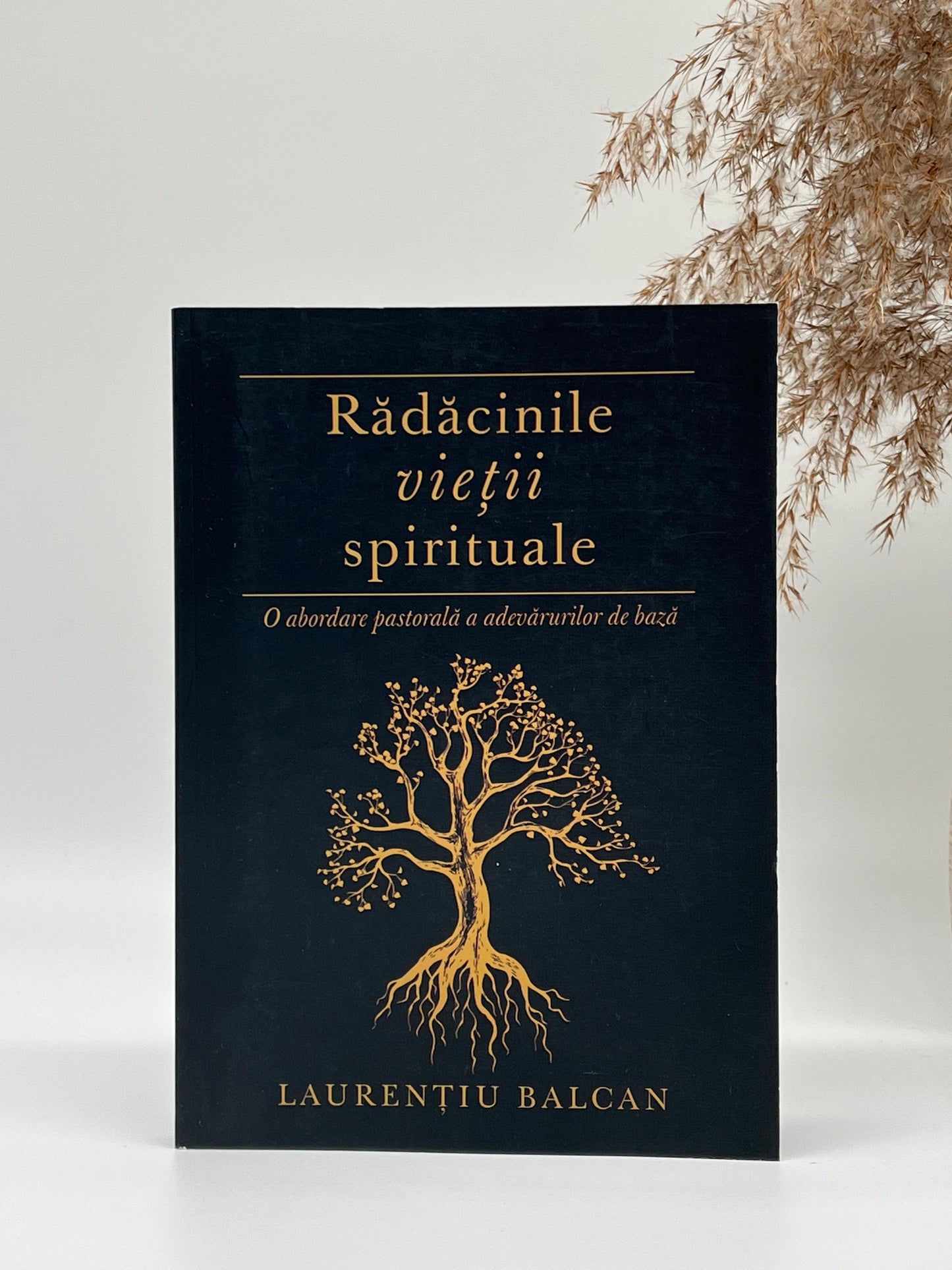 Rădăcinile vieții spirituale -
Laurenţiu Balcan