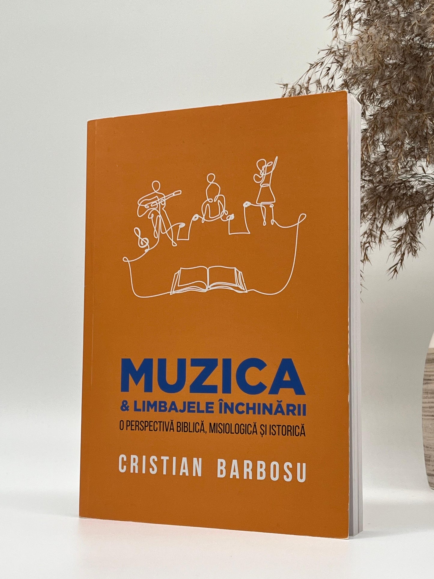 Muzica ș limbajele închinării -
Cristian Barbosu