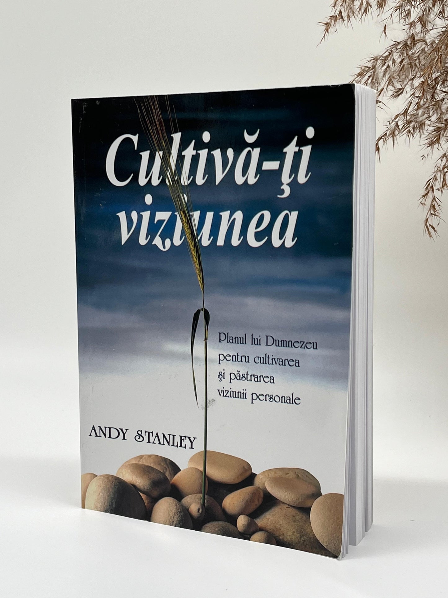 Cultivă-ți viziunea. Planul lui Dumnezeu pentru cultivarea și păstrarea viziunii personale -
Andy Stanley