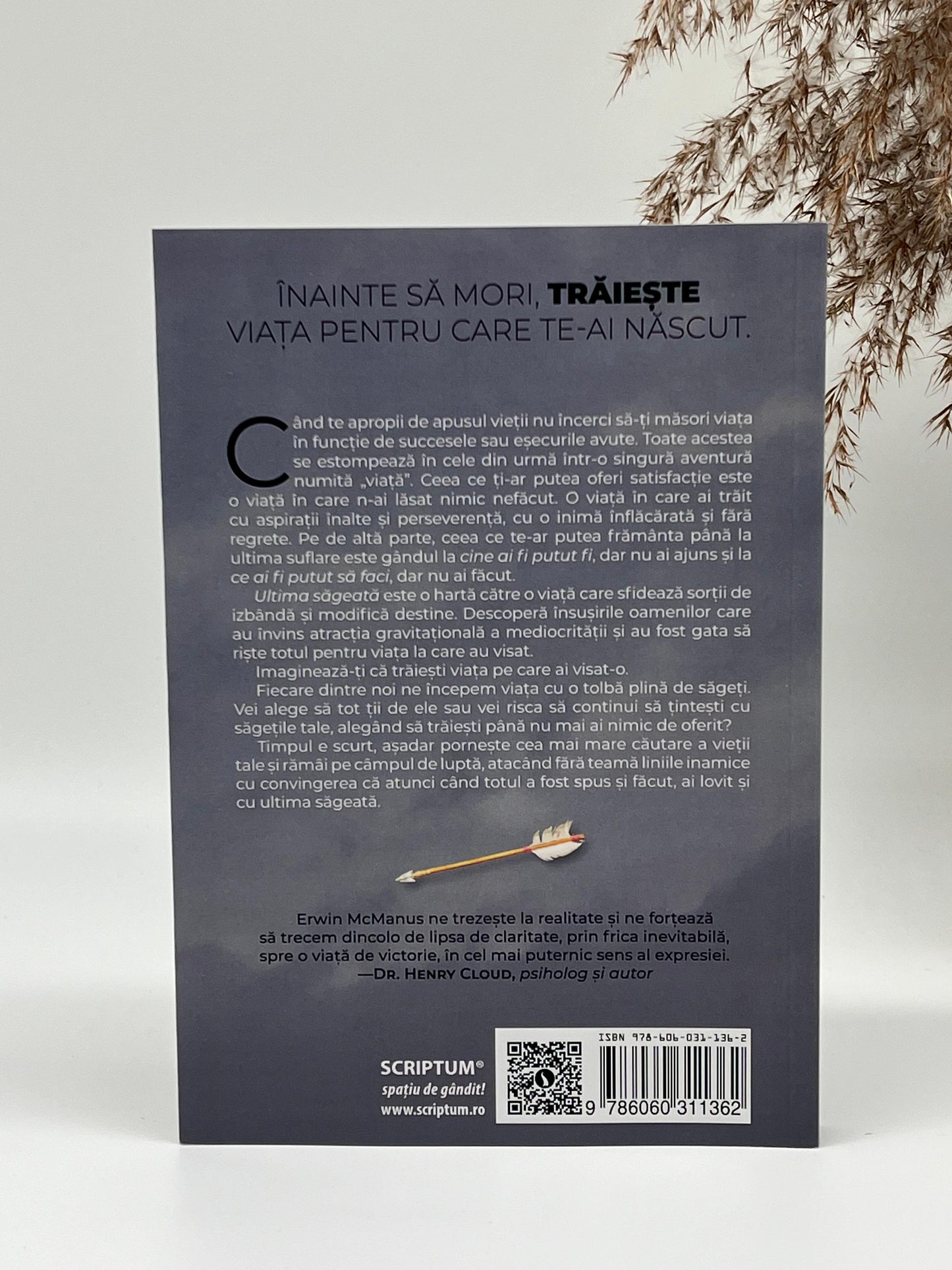 Ultima săgeată -
Erwin Raphael Mcmanus