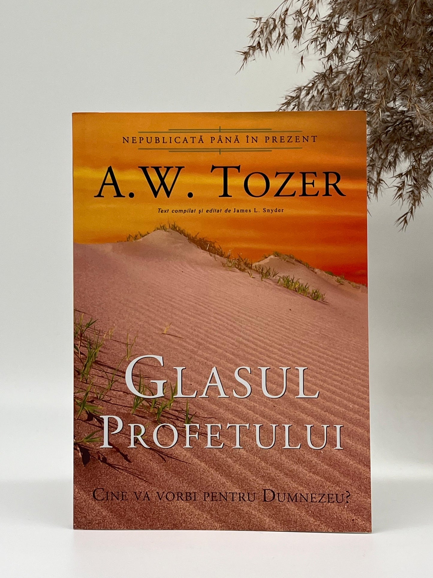 Glasul profetului -
A.W. Tozer