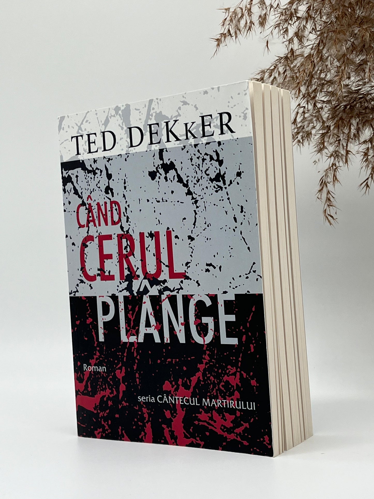 Când cerul plânge -
Ted Dekker