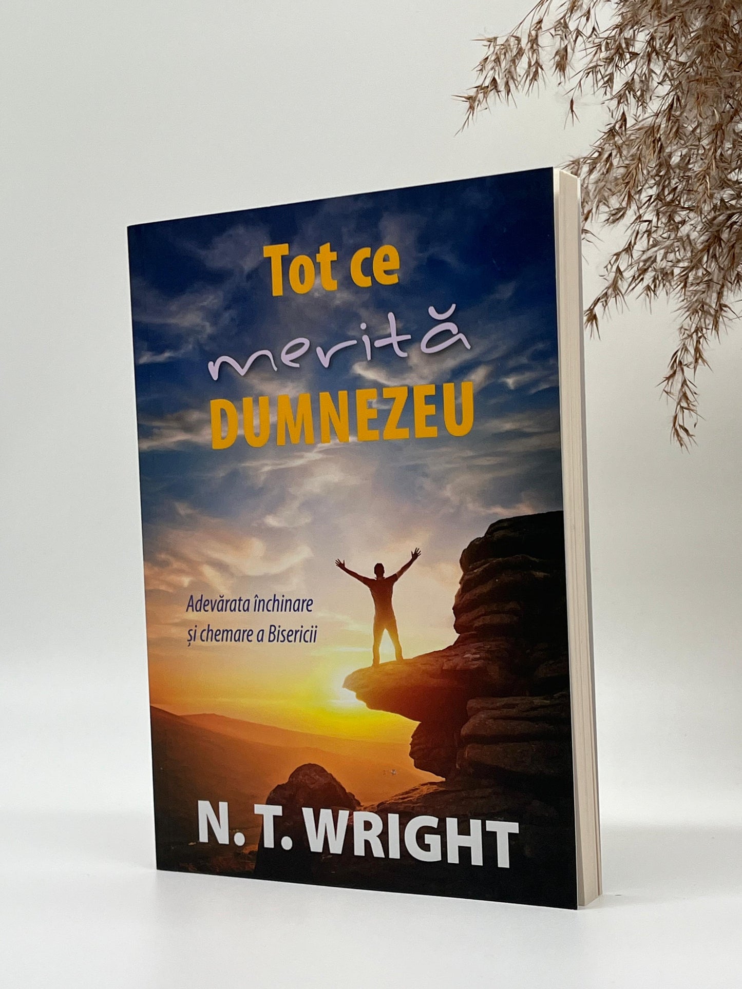 Tot ce merită Dumnezeu -
N.T. Wright