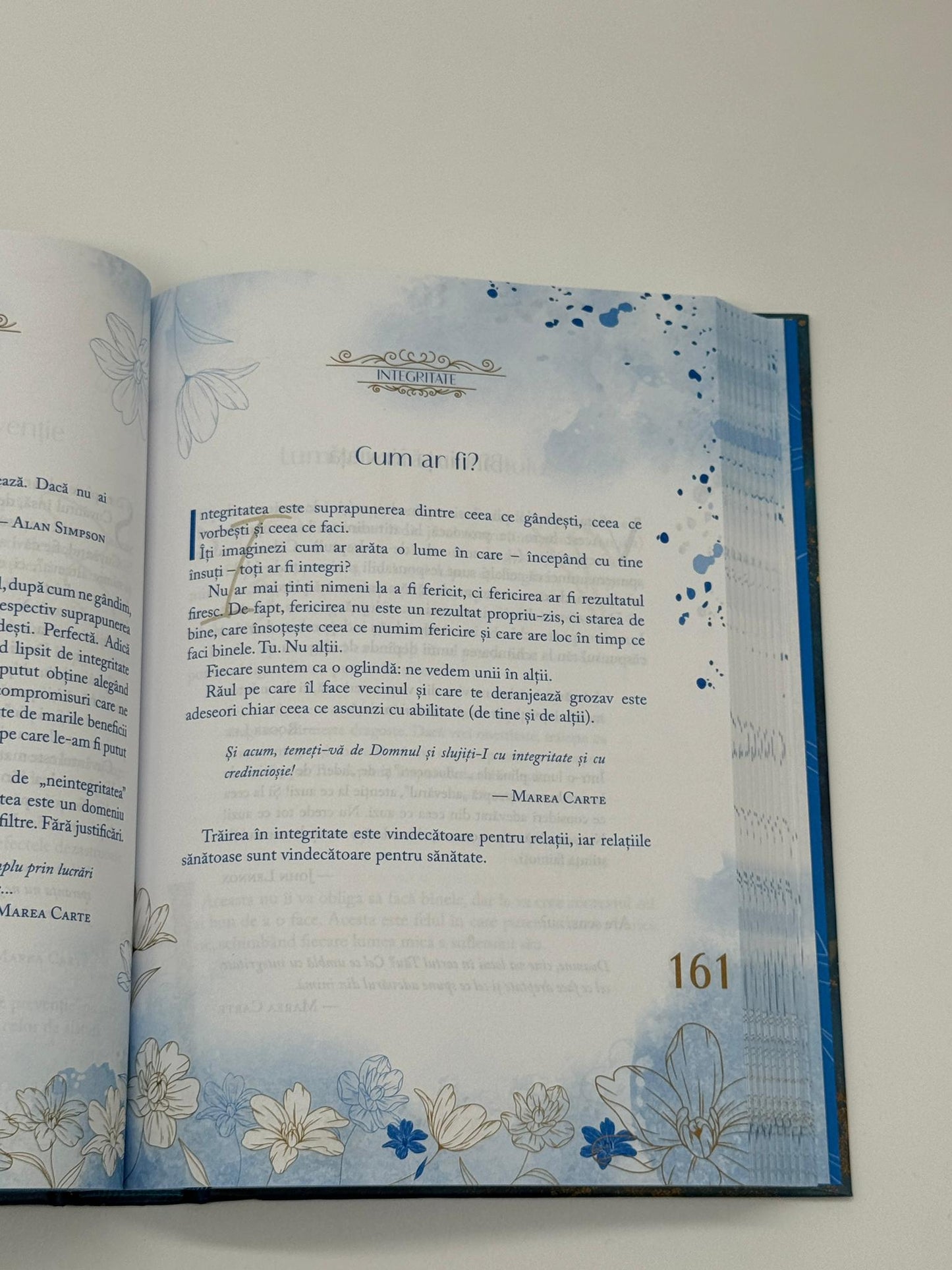 Răsărituri zilnice -
Camelia Căpușan