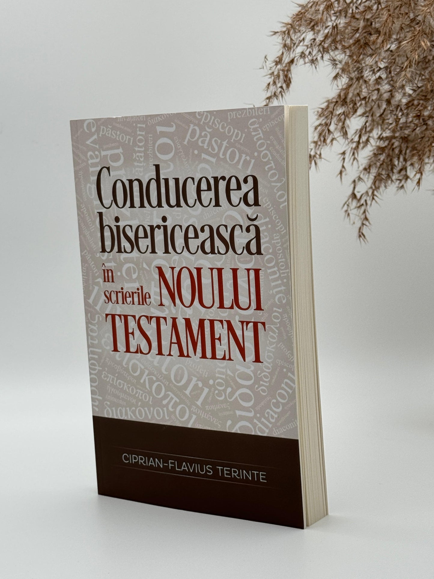 Conducerea bisericească în scrierile Noului Testament -
Ciprian-Flavius Terinte