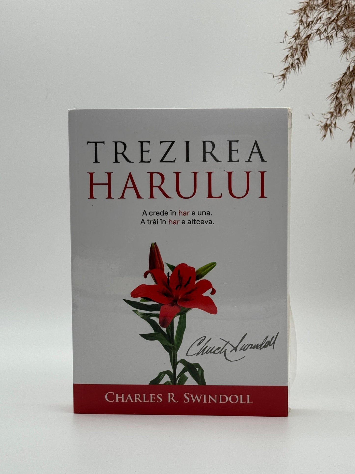 Trezirea Harului -
Charles R. Swindoll