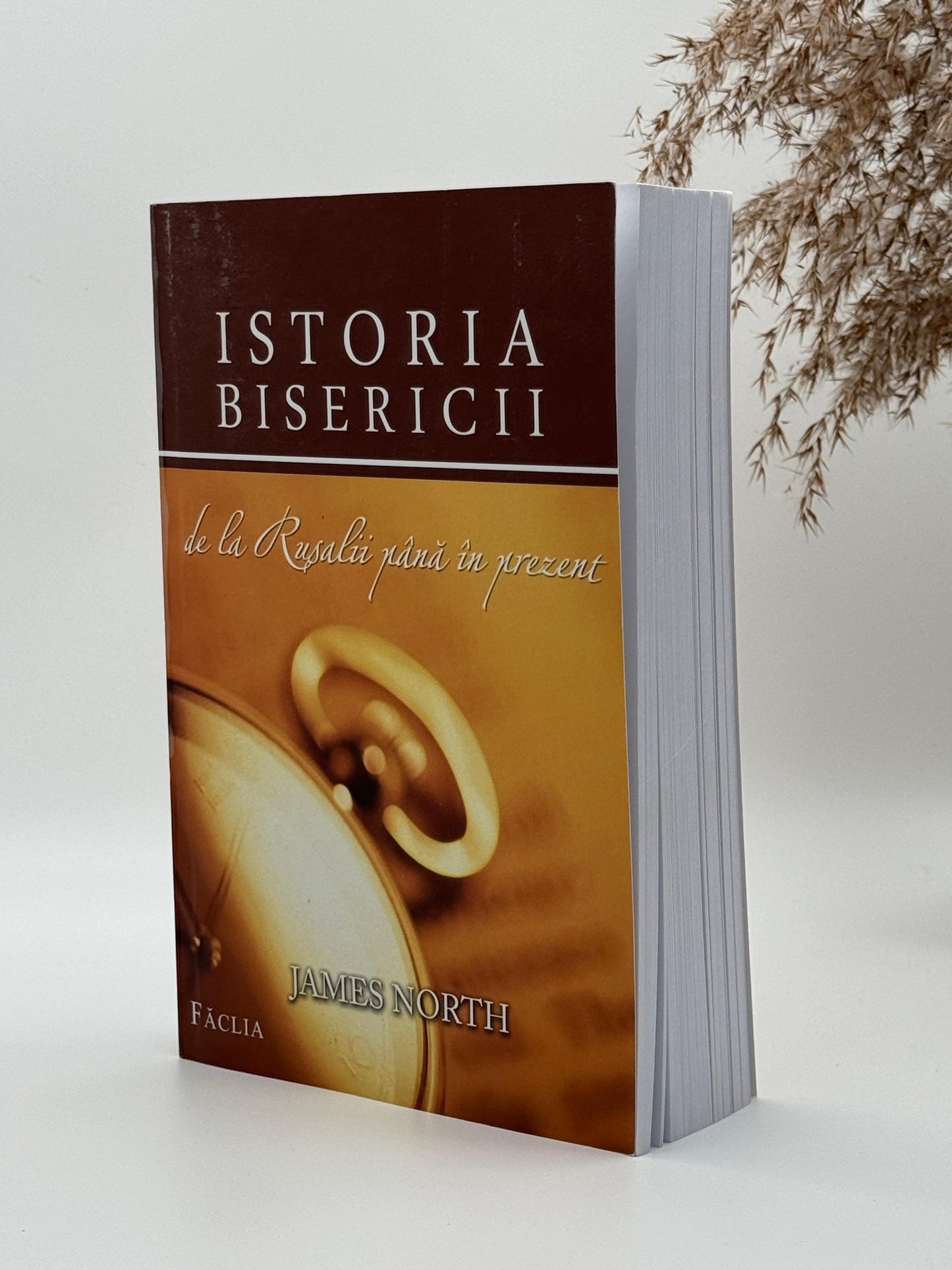 Istoria Bisericii de la Rusalii până în prezent -
James North