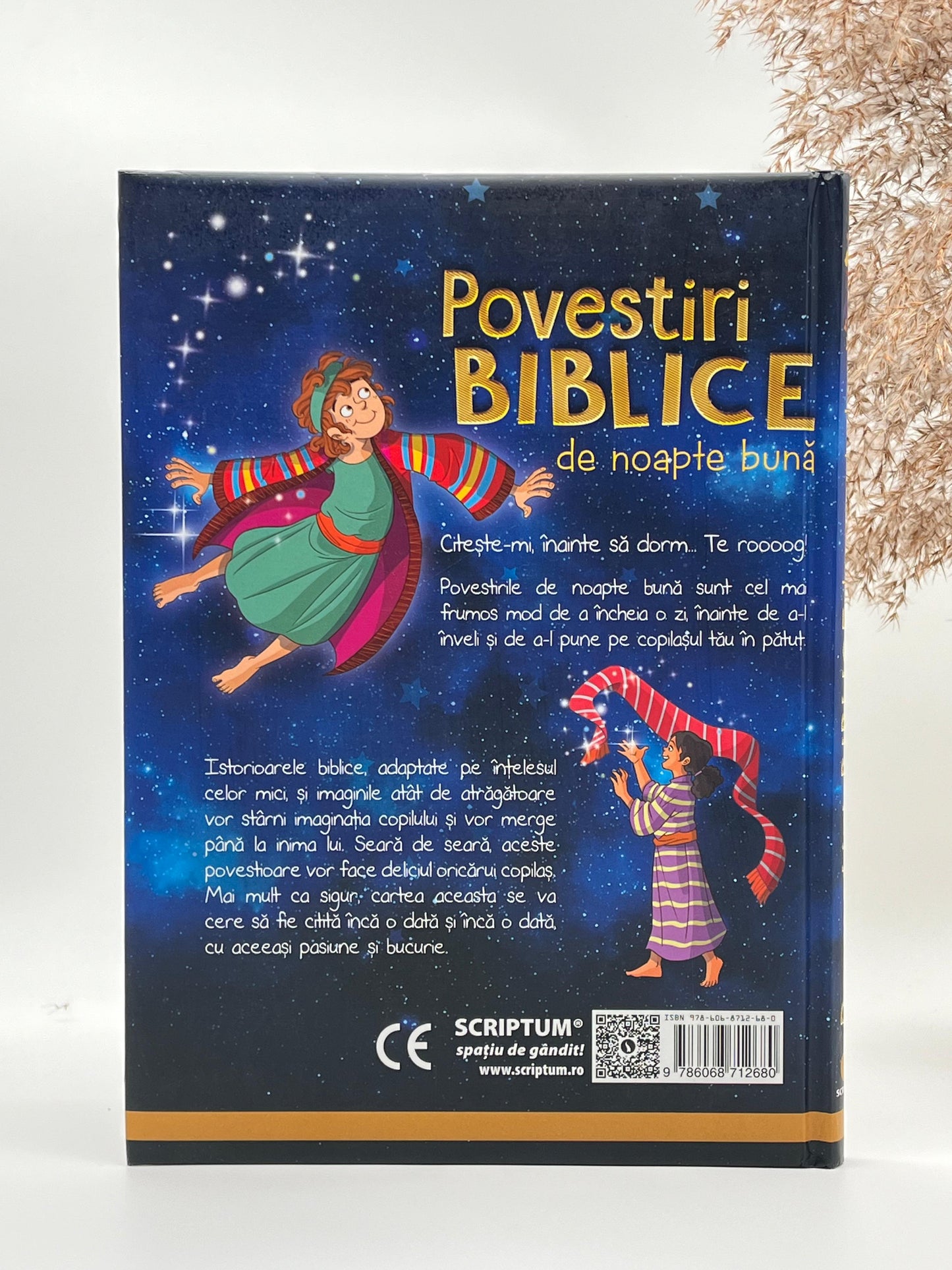 Povestiri biblice de noapte bună -
Vanessa Carroll & Fabiano Fiorin