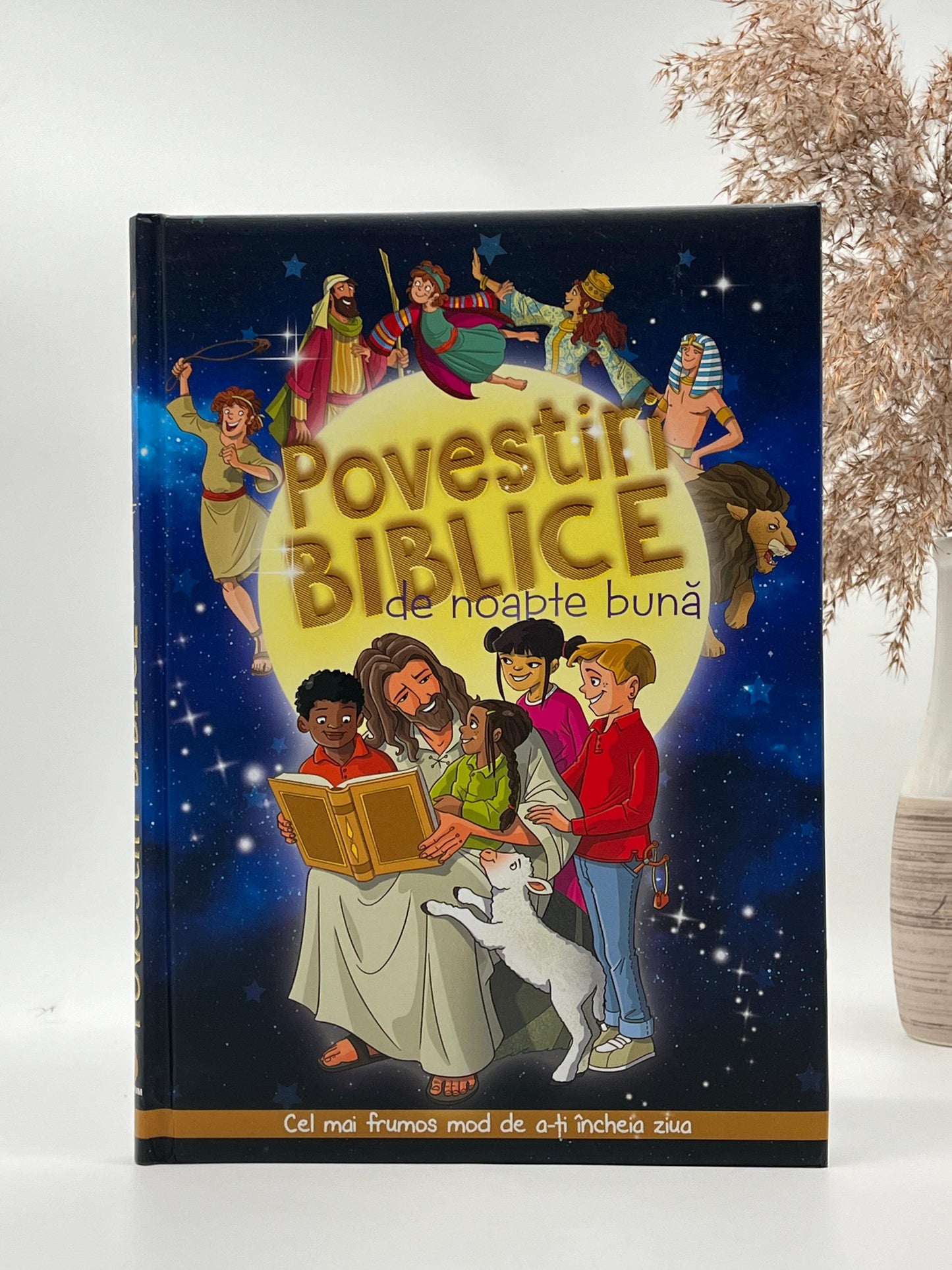 Povestiri biblice de noapte bună -
Vanessa Carroll & Fabiano Fiorin