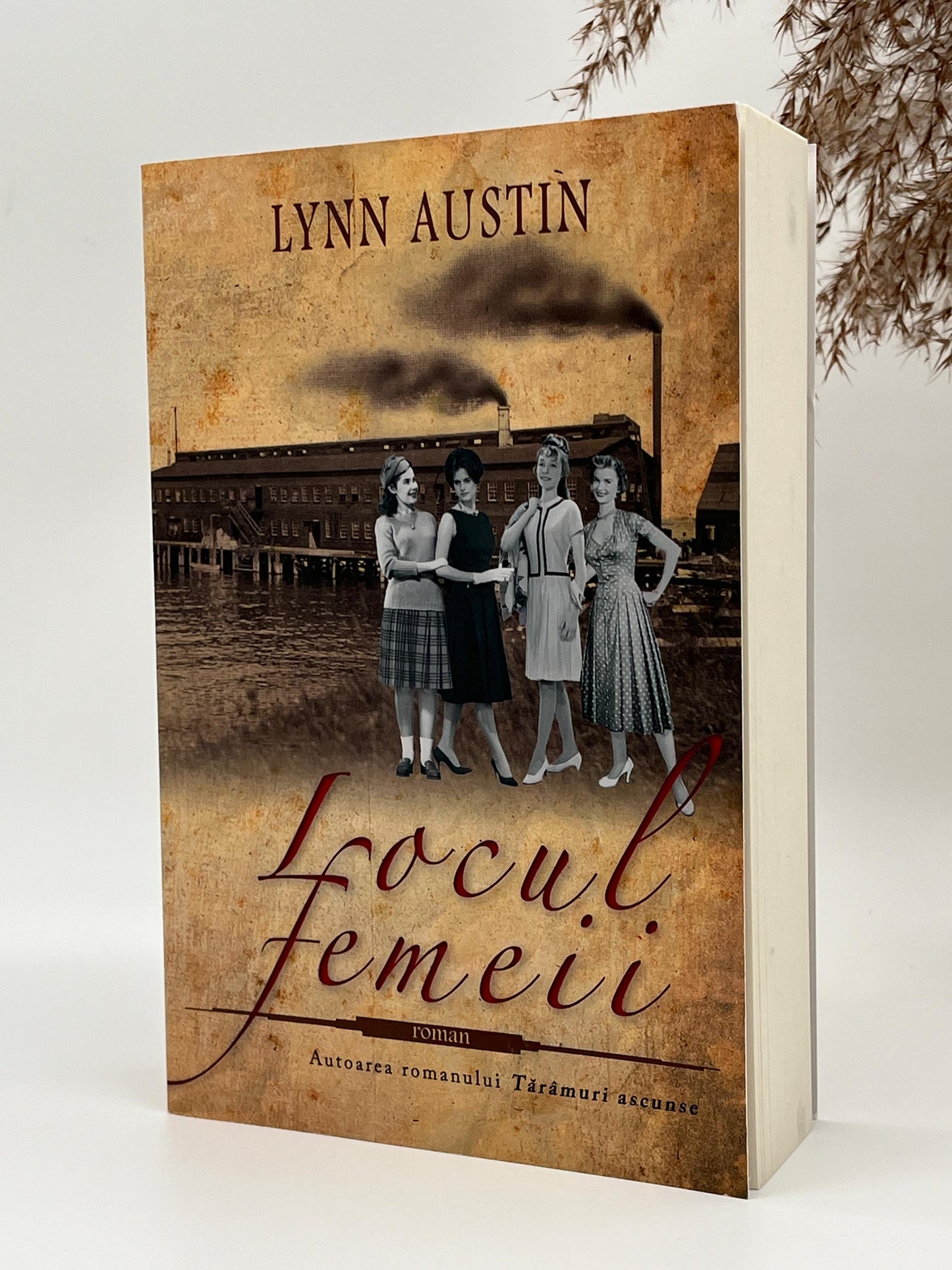 Locul femeii -
Lynn Austin