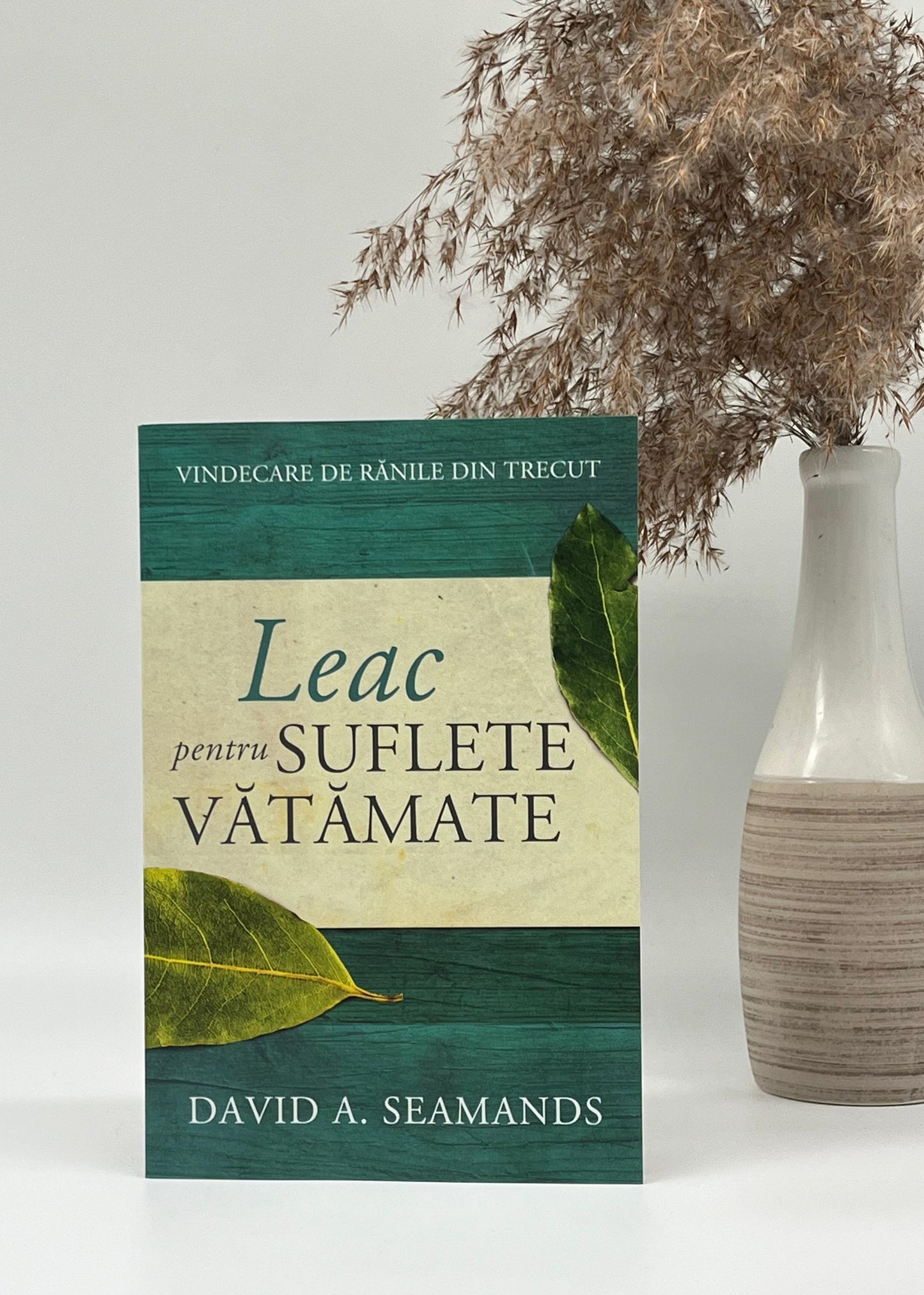 Leac pentru suflete vătămate. Vindecare de rănile din trecut - David A. Seamands