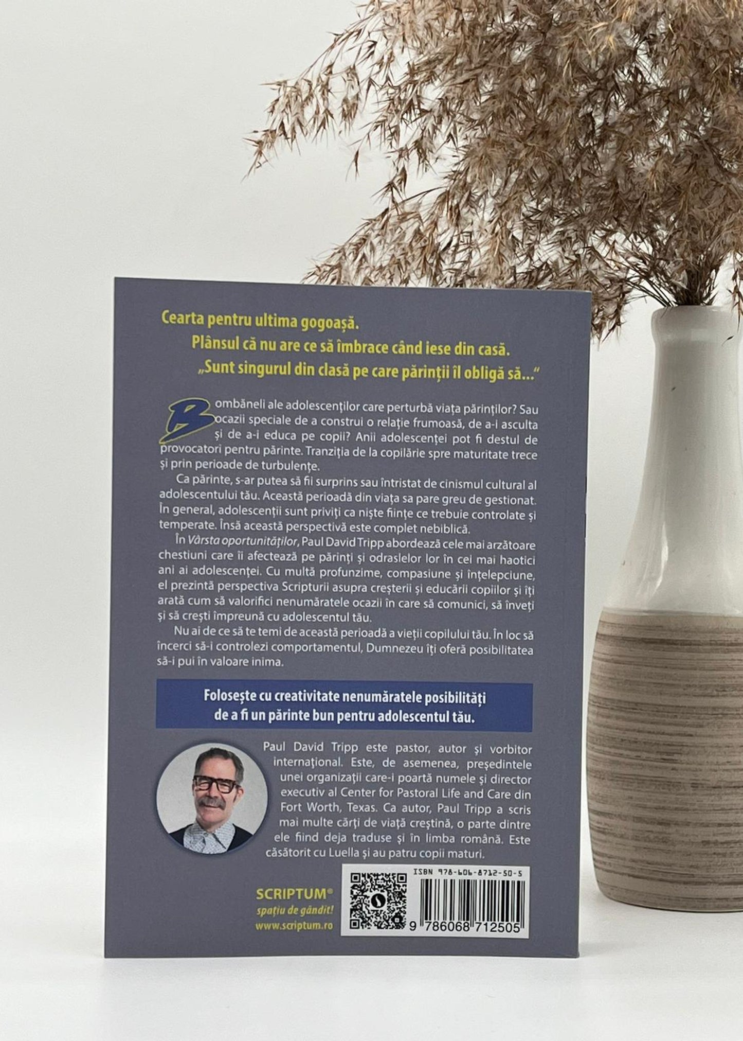 Vârsta oportunităților - Paul David Tripp