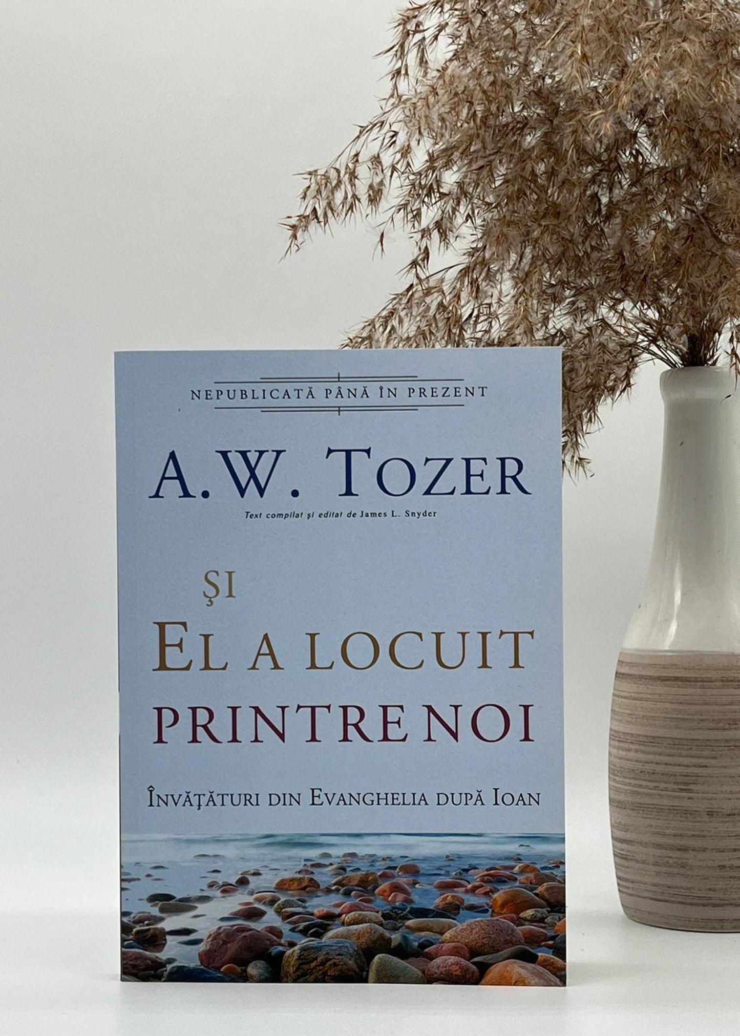 Și El a locuit printre noi. Învățături din Evanghelia după Ioan - A.W. Tozer
