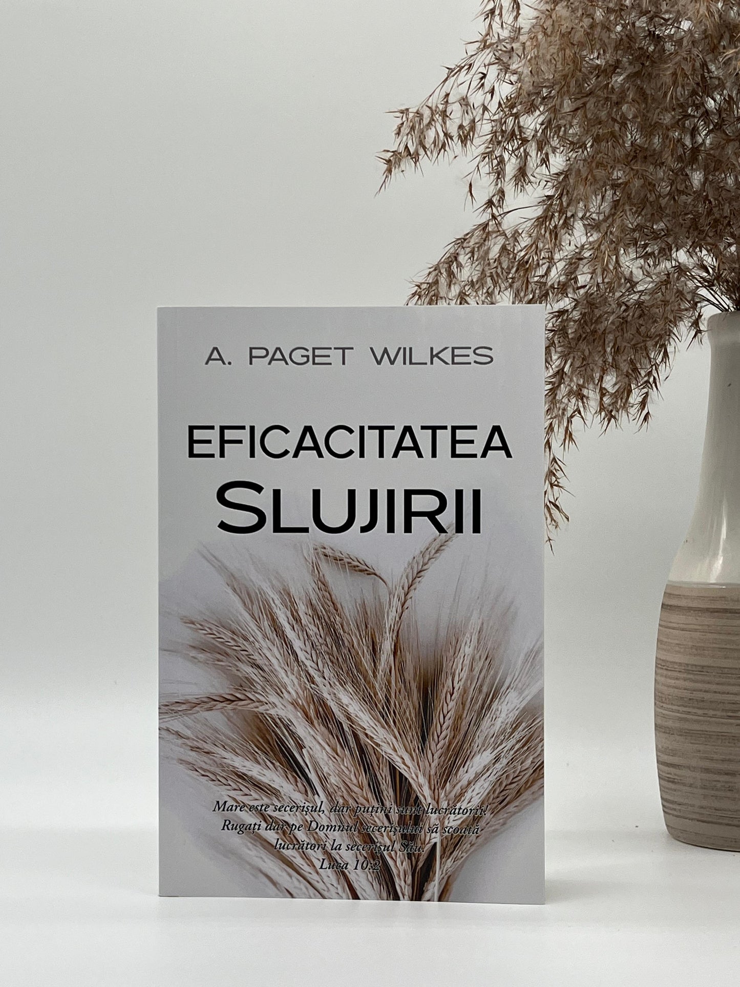 Eficacitatea slujirii - Alpheus Paget Wilkes