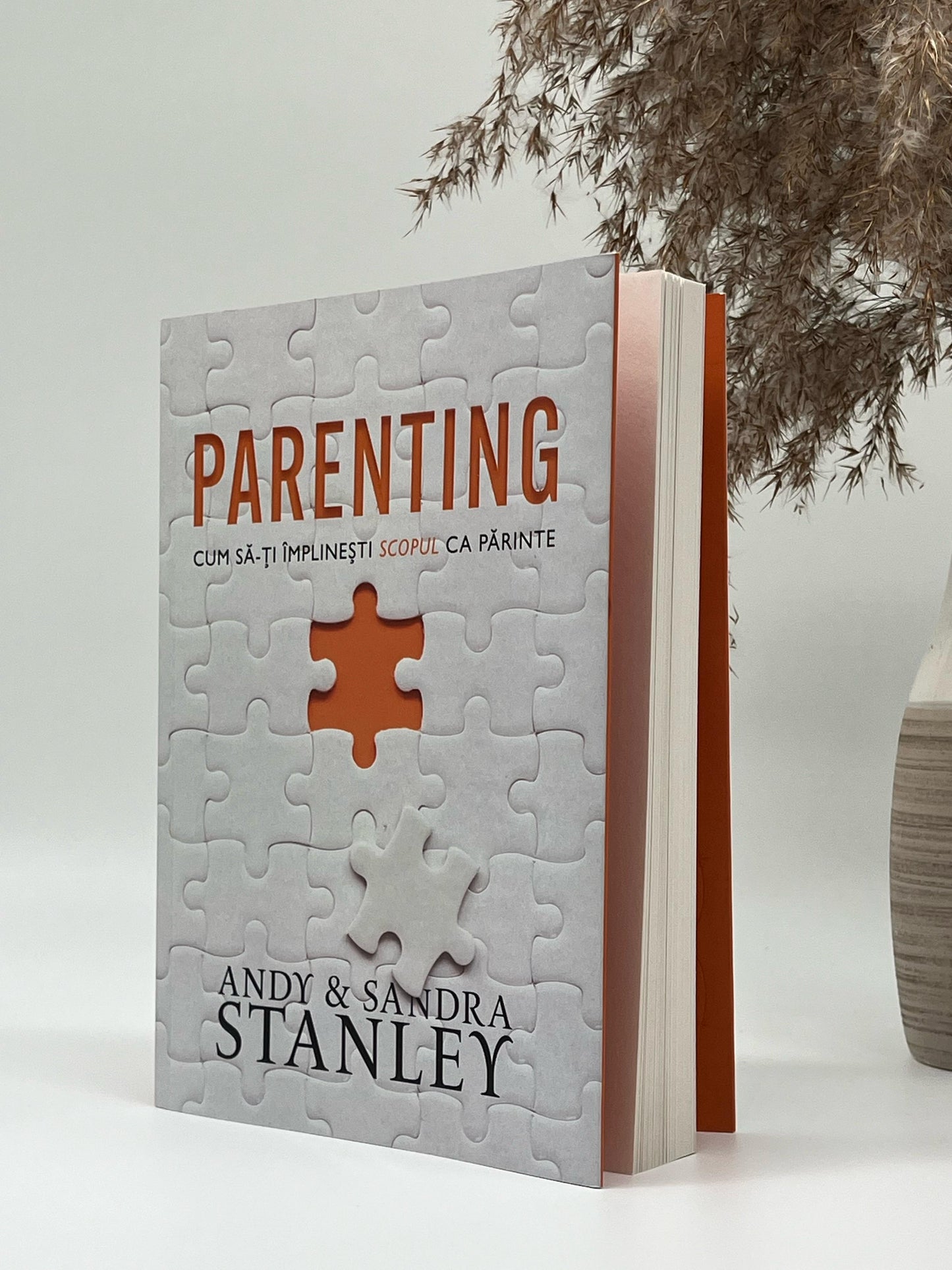 Parenting - Andy Stanley