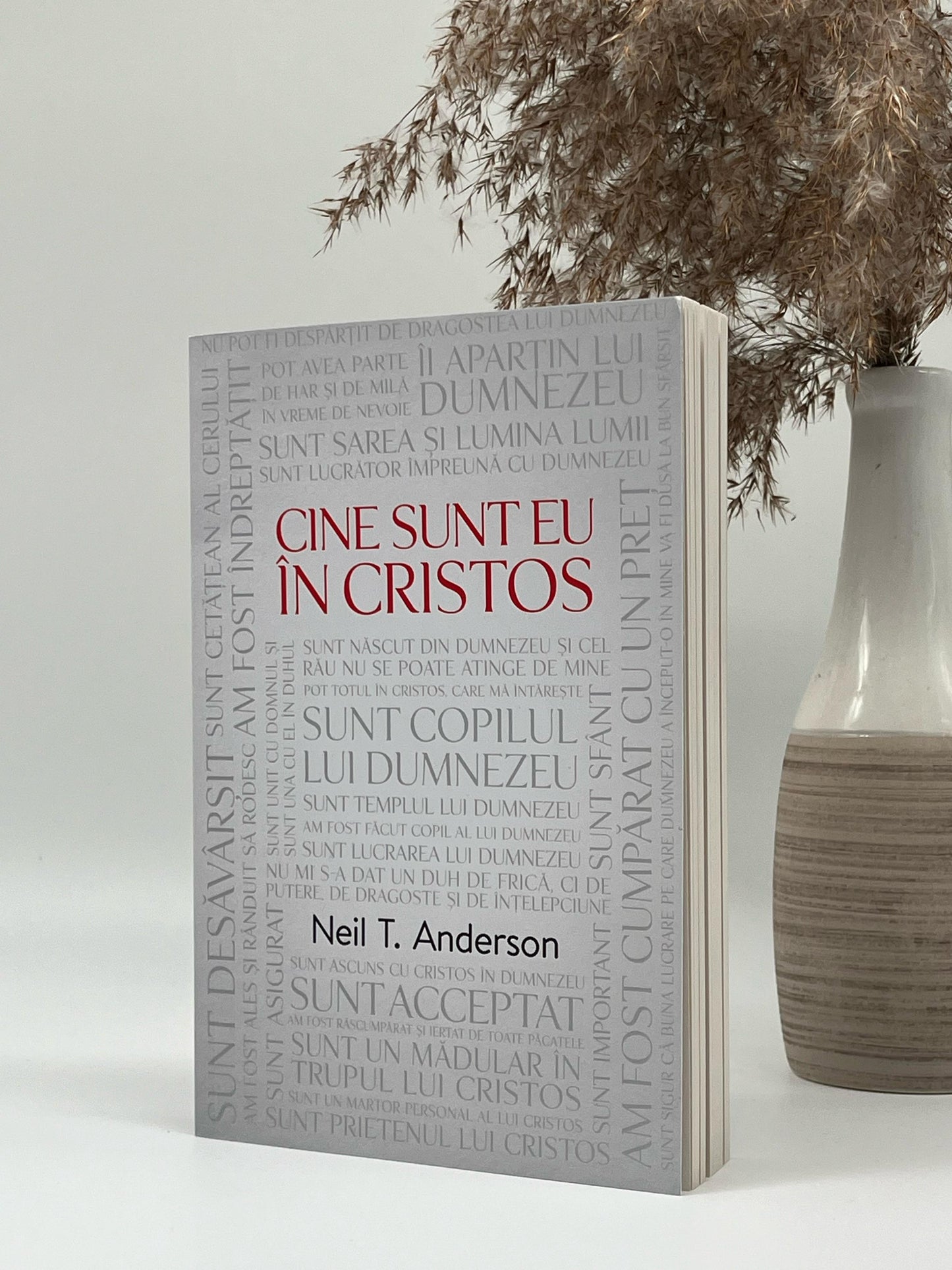 Cine sunt eu în Cristos - Neil T. Anderson
