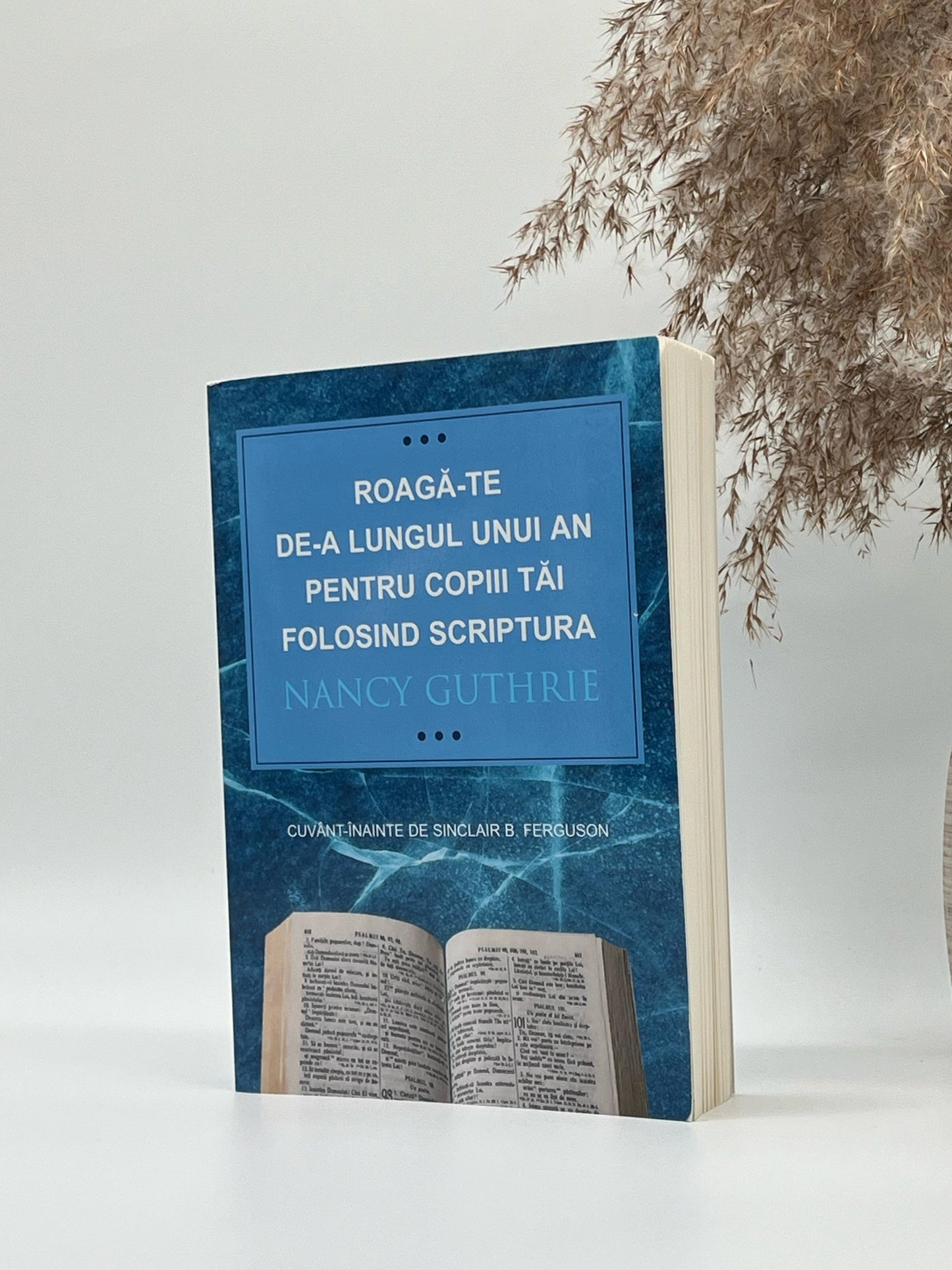 Roagă-te de-a lungul unui an pentru copiii tăi folosind Scriptura - Nancy Guthrie