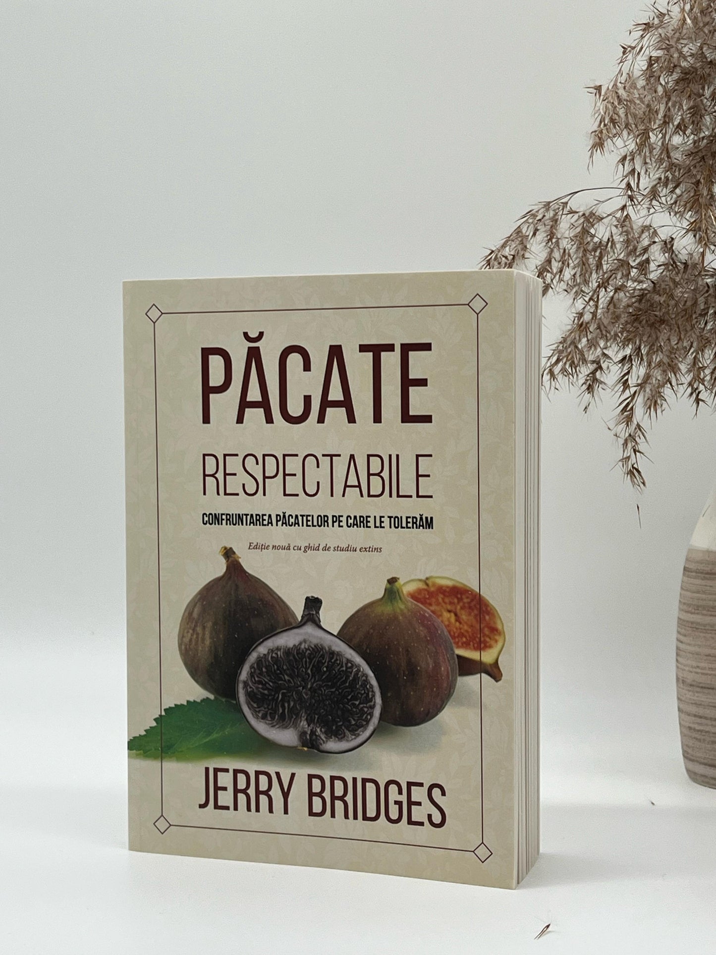 Păcate respectabile - Jerry Bridges