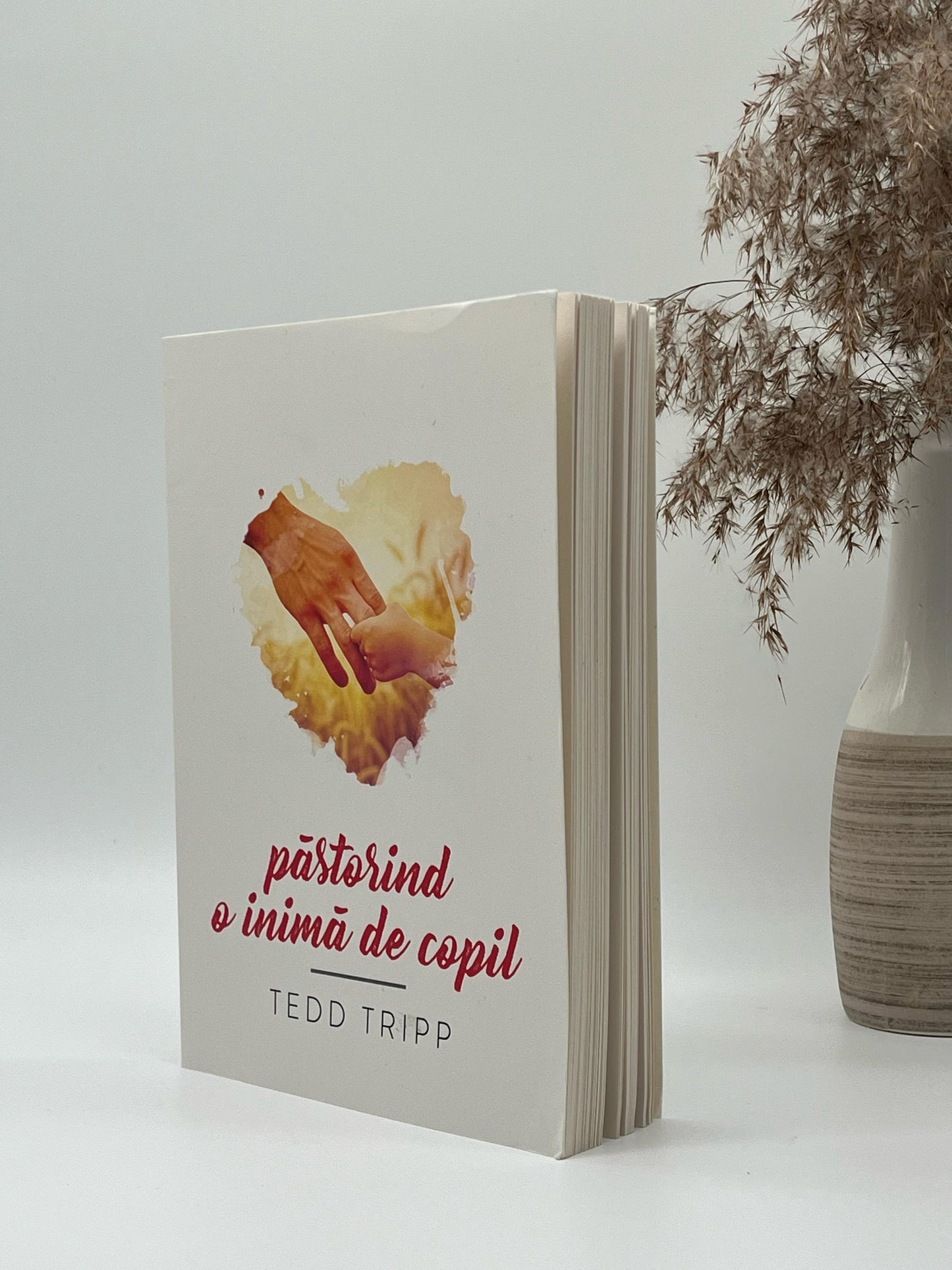 Păstorind o inimă de copil. Editia a II-a - Tedd Tripp