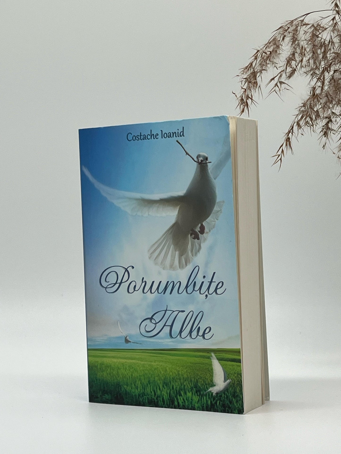 Porumbițe albe - Costache Ioanid